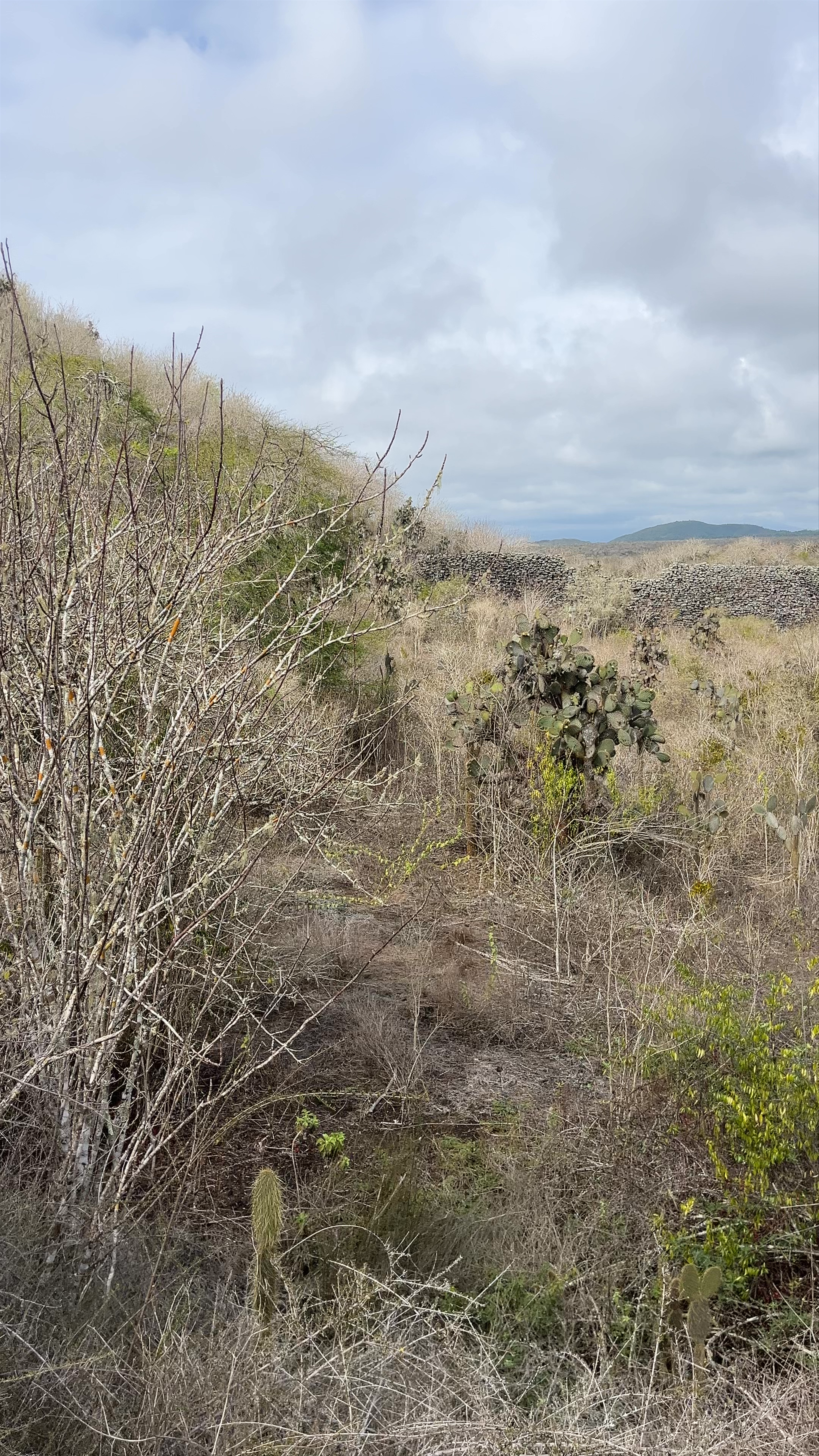 Muro de las Lágrimas: A Haunting Trek Through Galápagos' Raw Wilderness