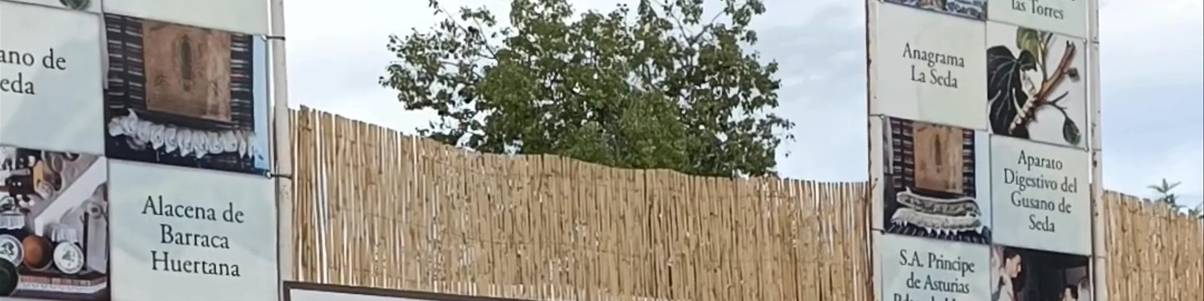 Peña Huertana La Seda