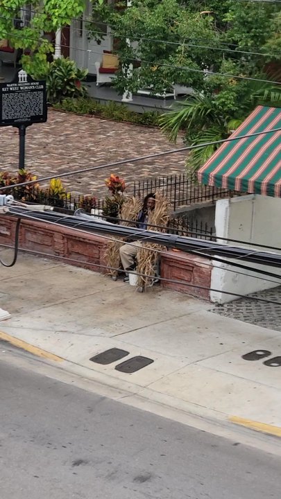 Halo Rooftop Lounge - The things you'll enjoy watching on Duval, below from this rooftop bar! - Lounges Near Me - Key West, Florida