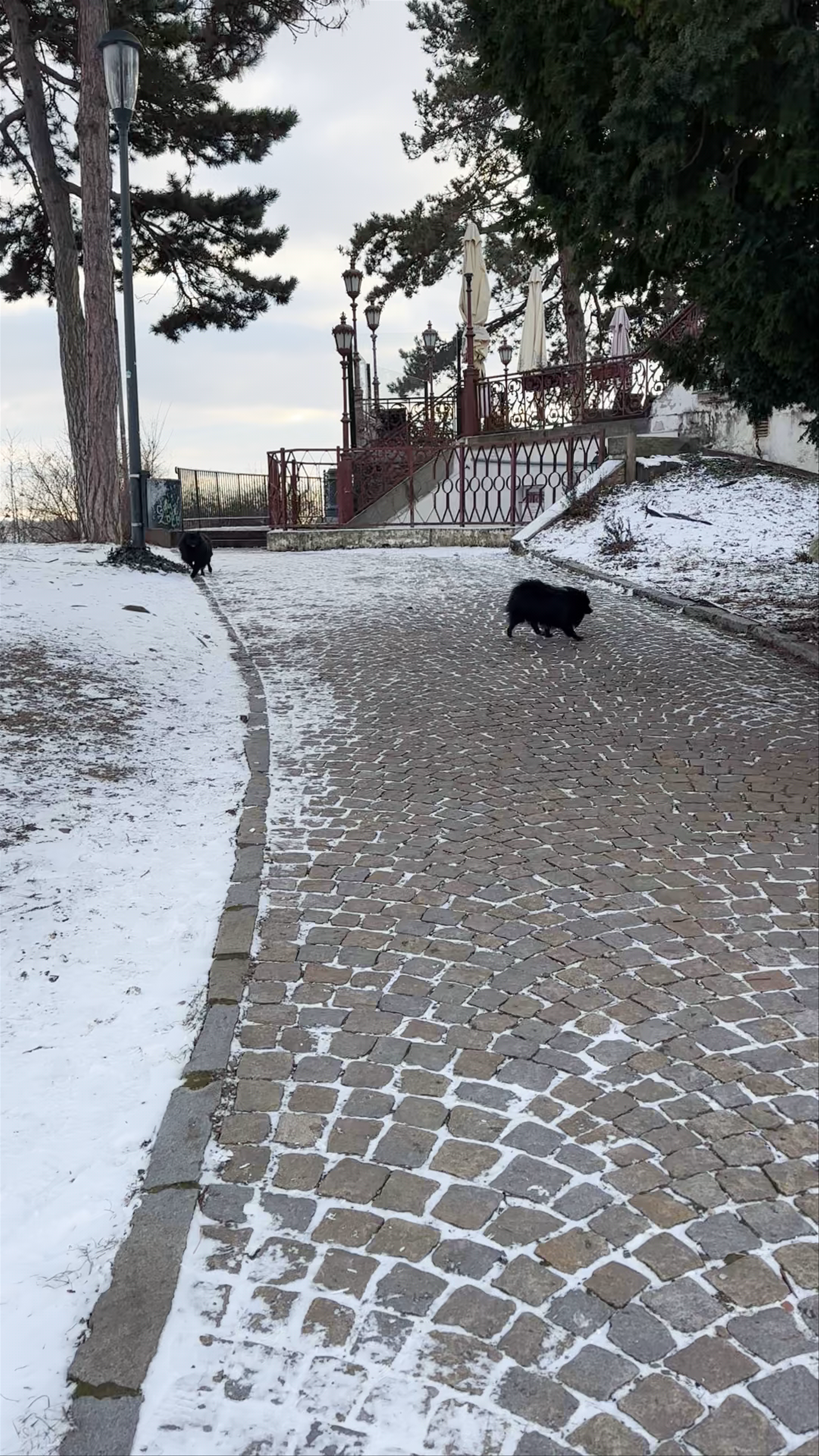 Winter Walk at Pabellón Hanavský, Letná Park Prague