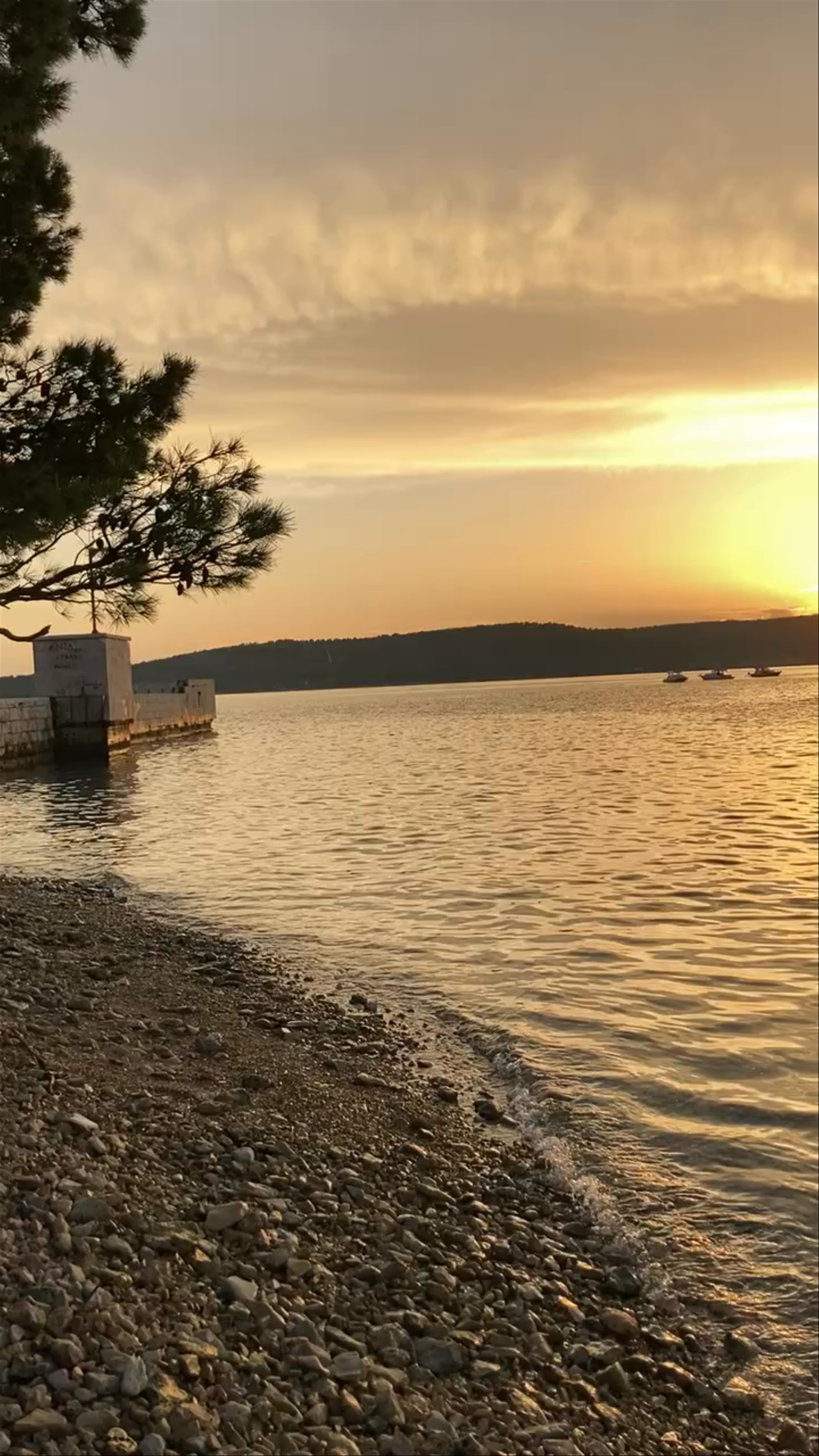 Institute of Oceanography and Fisheries