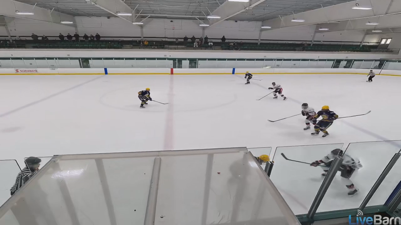 Gavin Perkovich's Top Highlights with Chicago Reapers 14U AAA