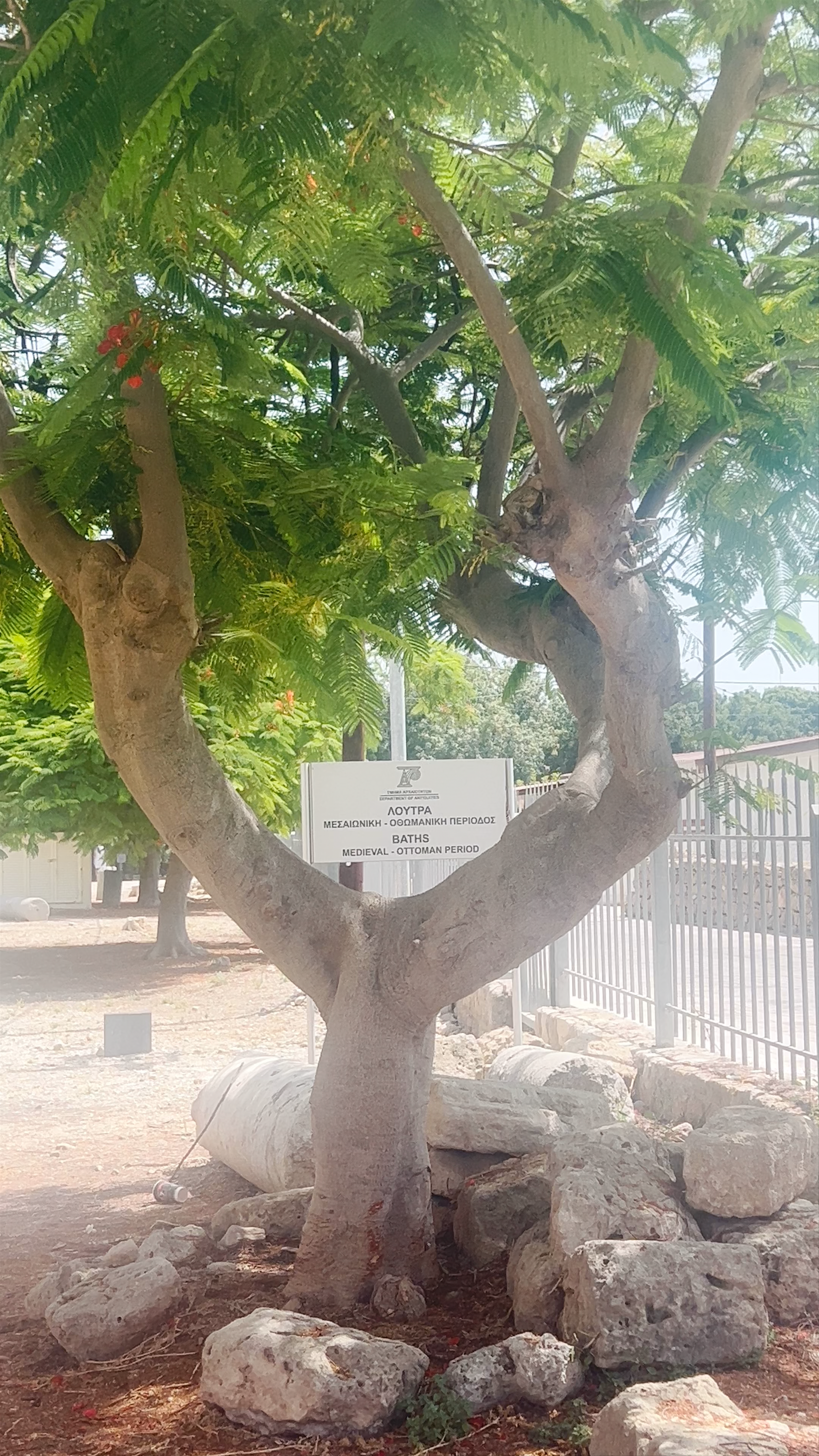 Medieval Baths: A Walk Through History in Paphos, Cyprus