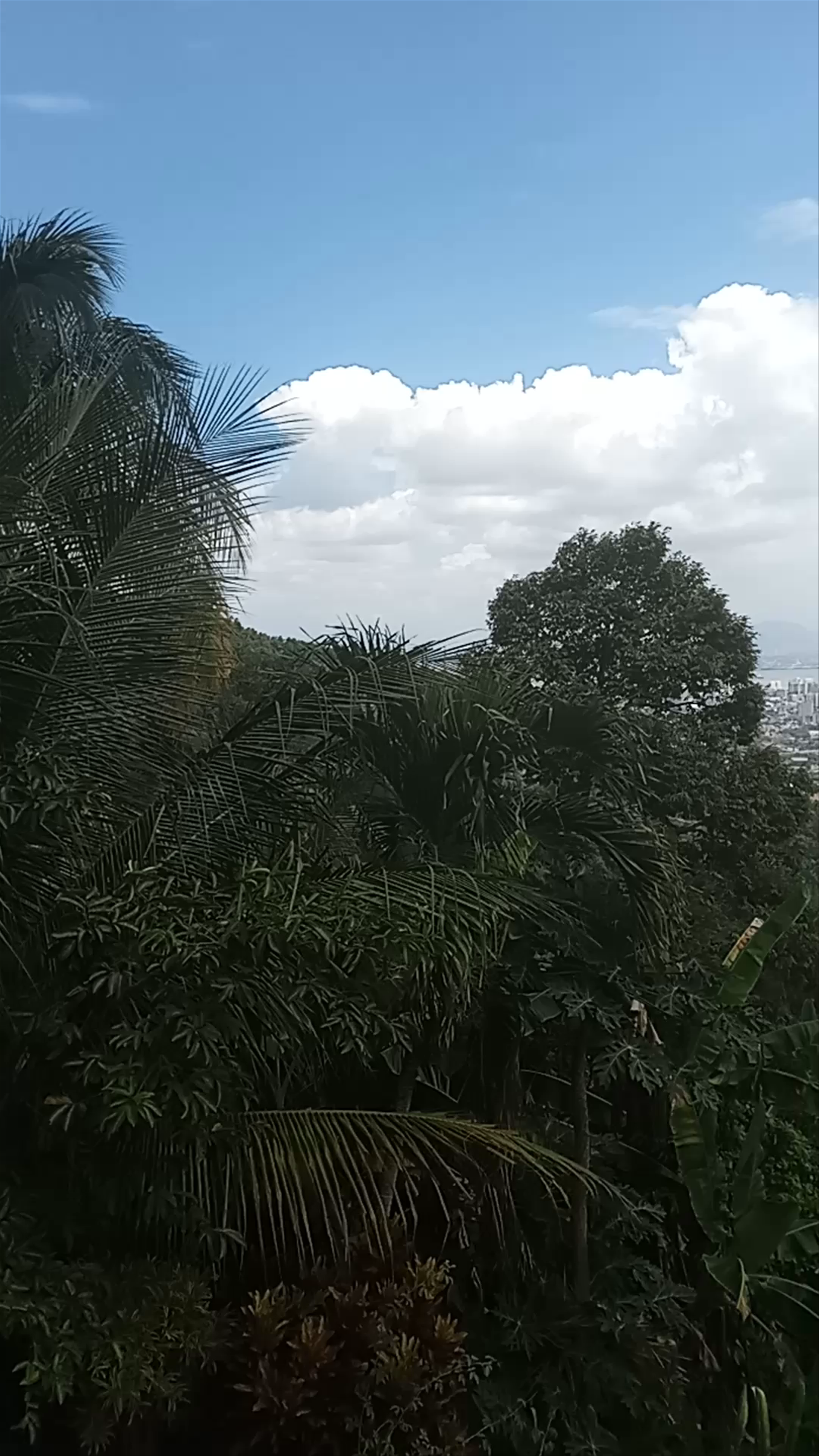 Penang Hill Heritage Trail