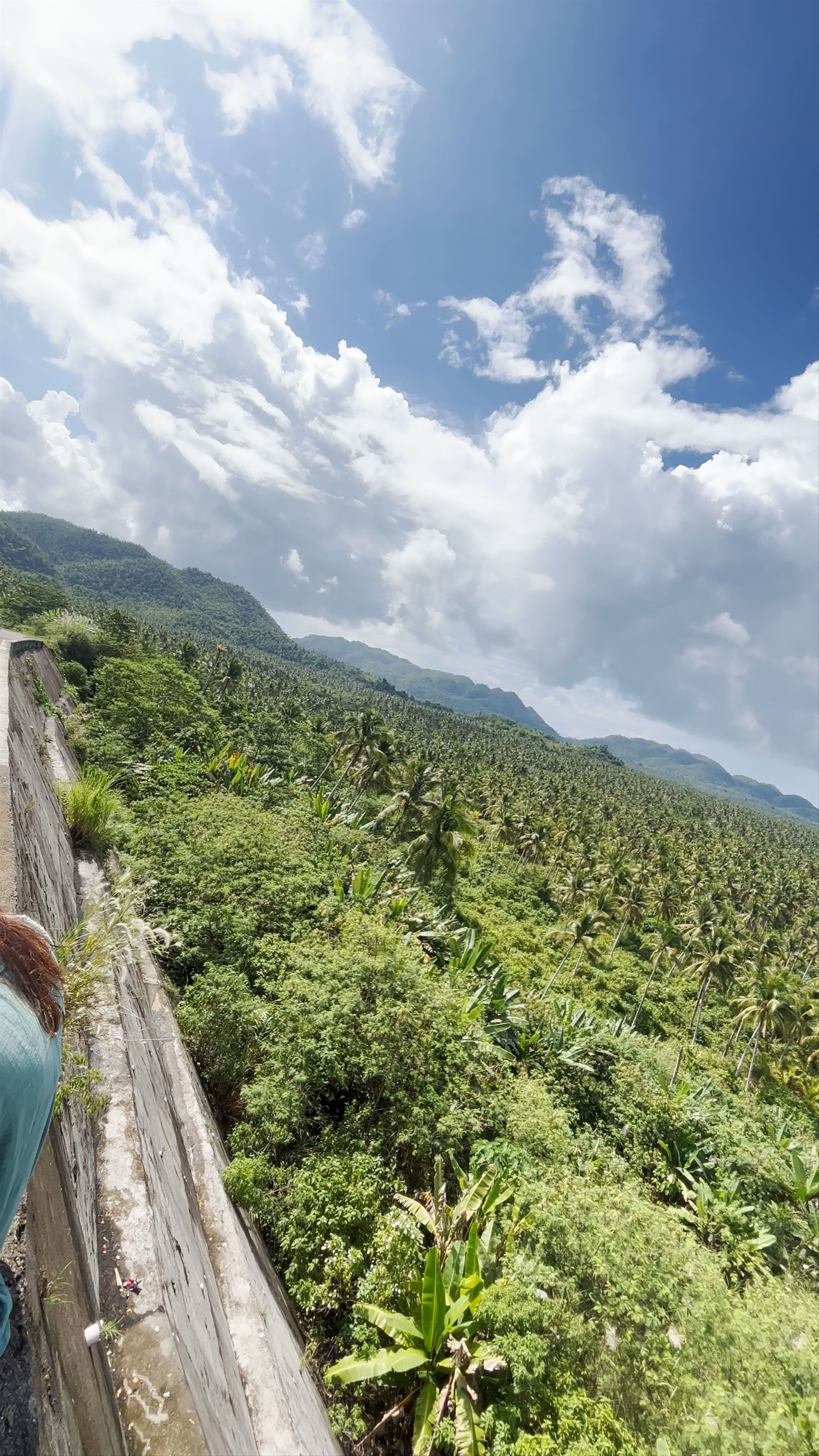 Coconut Trees View Deck