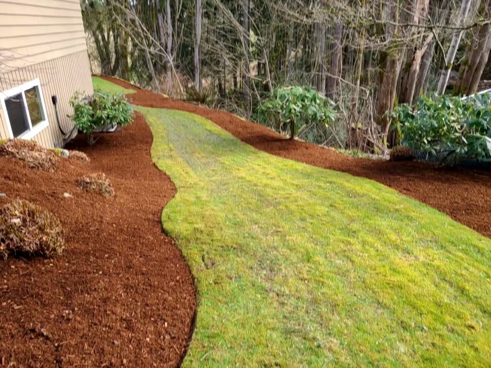 Gatica Lawn Care - Tree Services Near Me