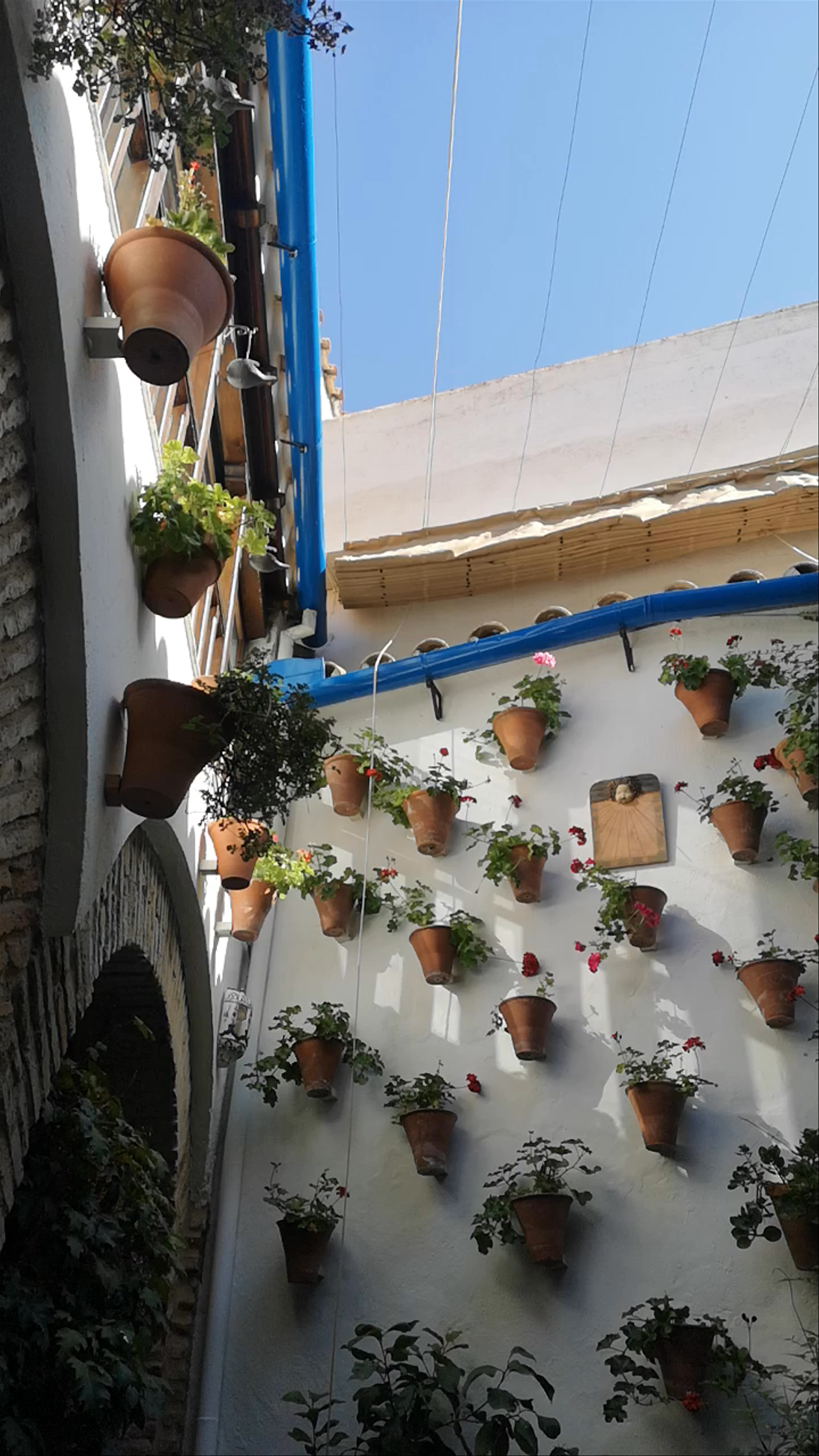 Patios Cordobeses