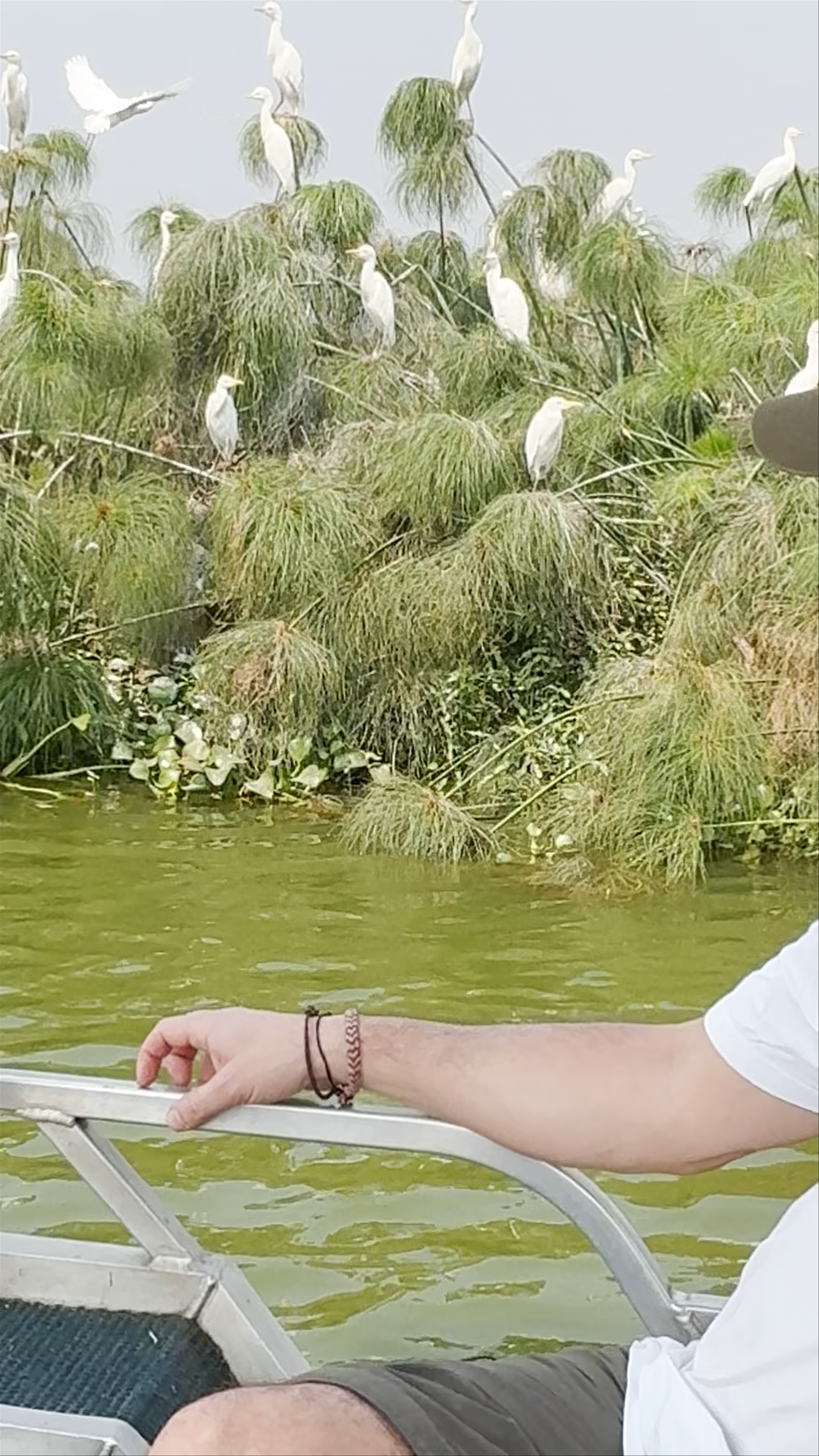 Kazinga Channel Community Boat