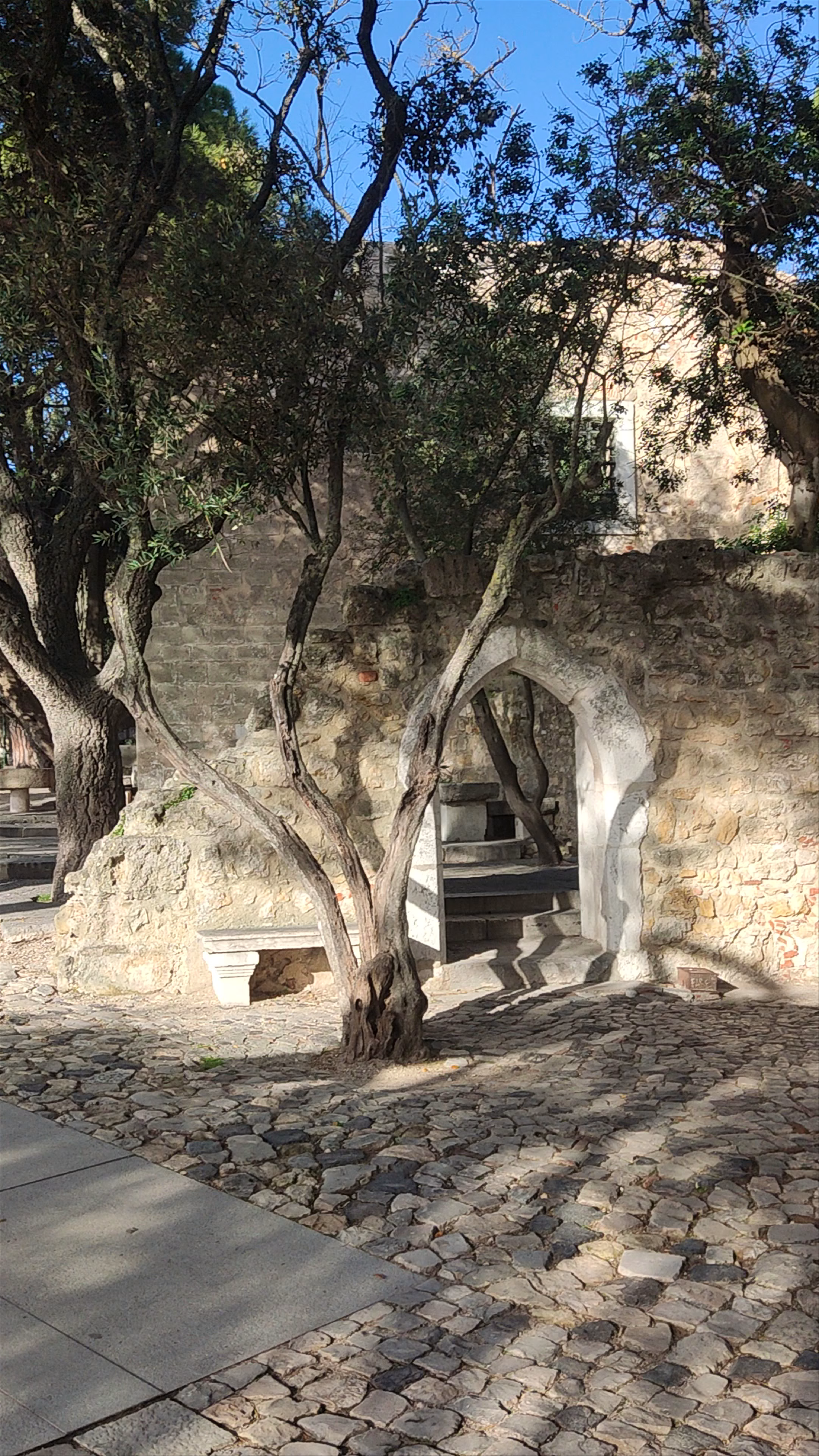 Castelo de São Jorge: Historic Views & Tranquil Corners in Lisbon