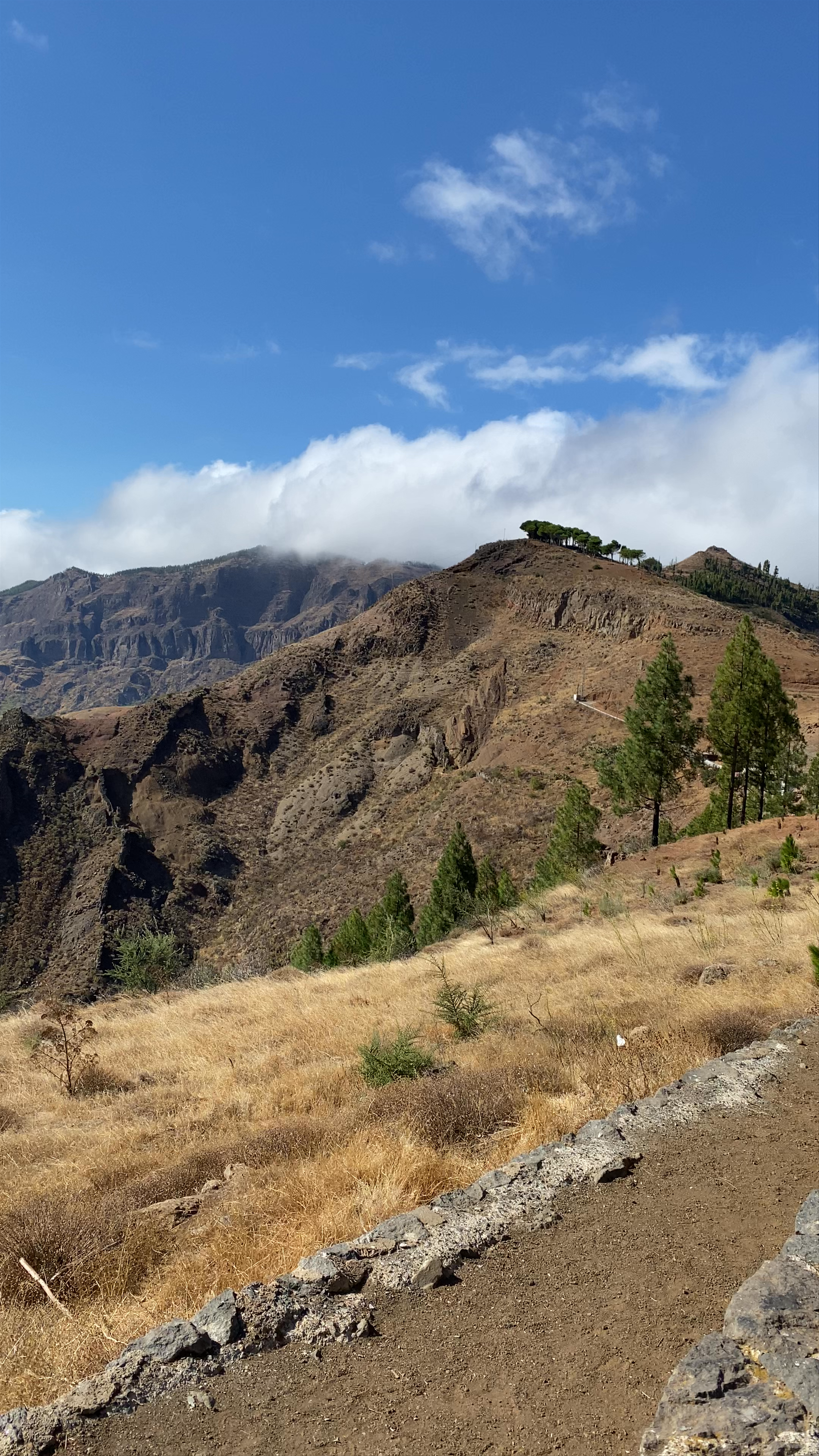 Mirador Degollada de Becerra: Majestic Views in Gran Canaria