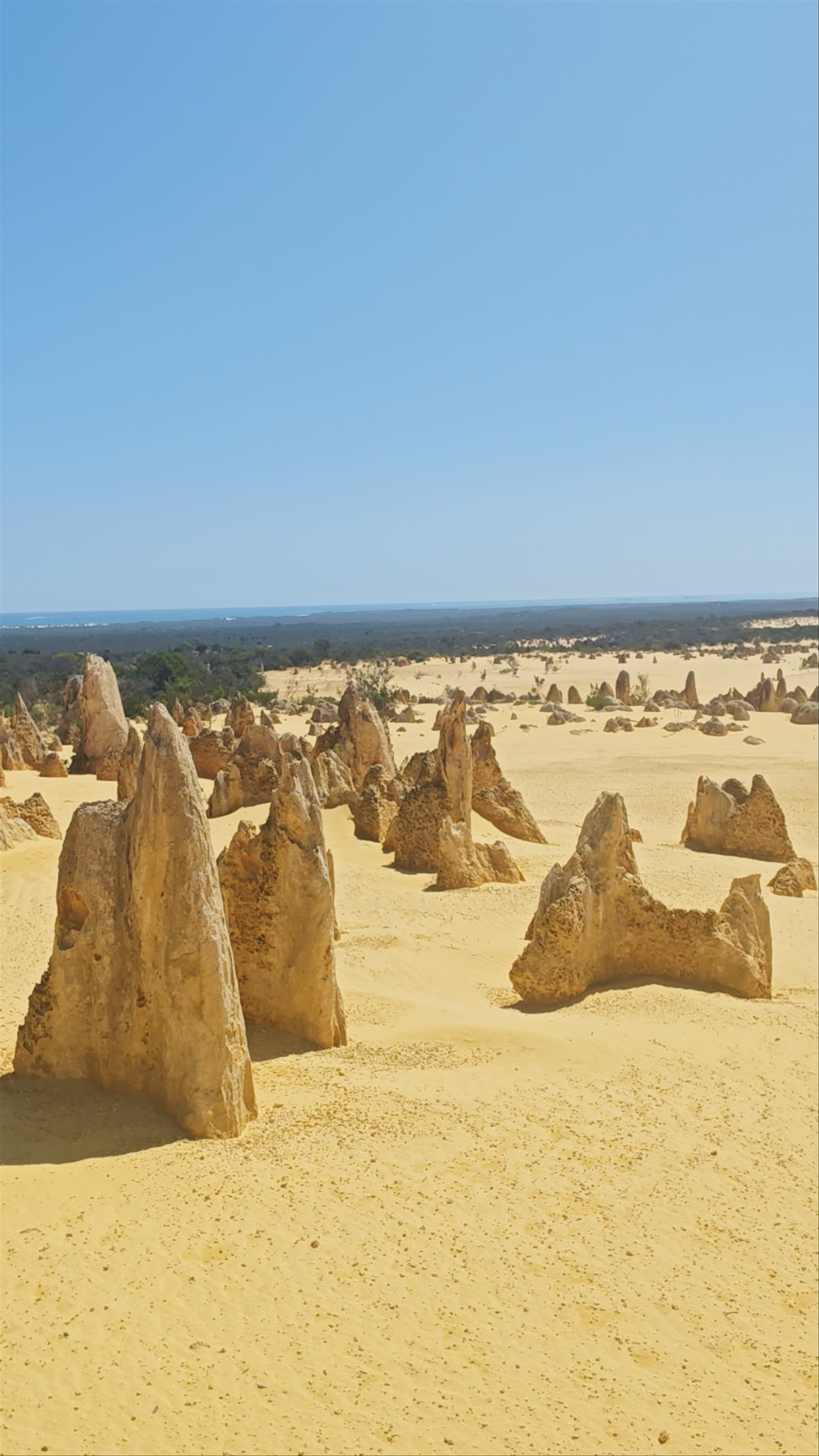 The Pinnacles Desert