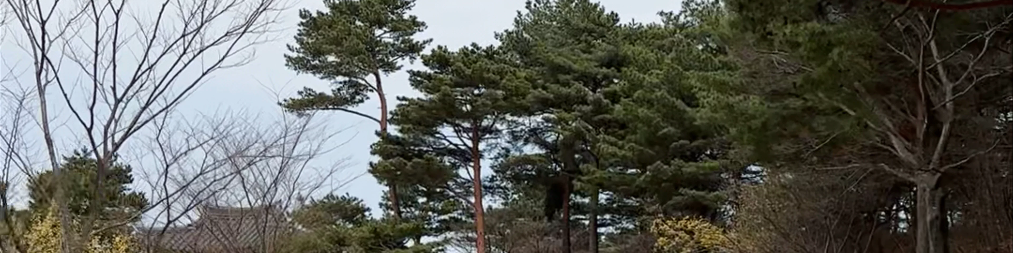 South Korea