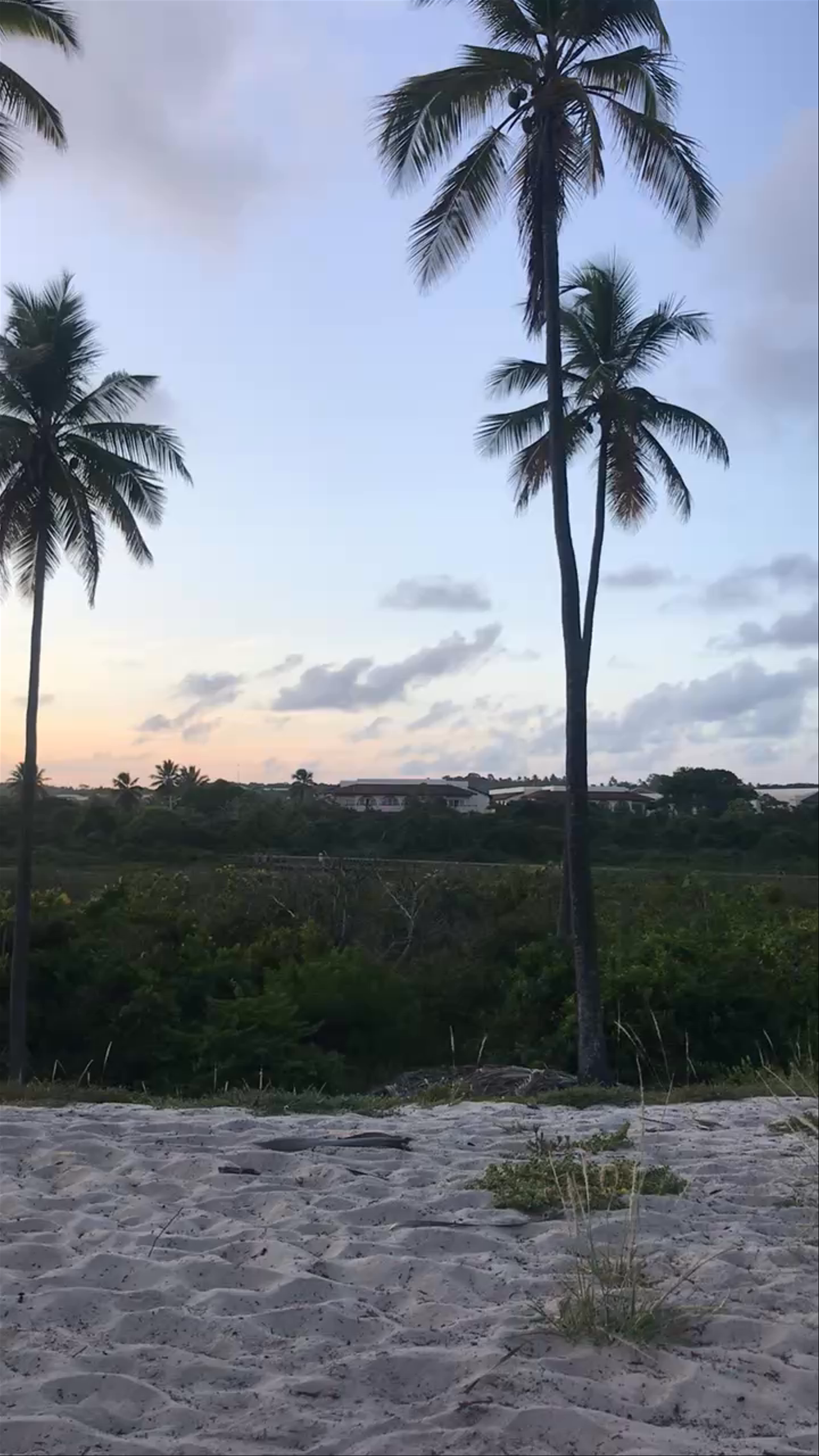 Praia do Palladium - Açu da Torre