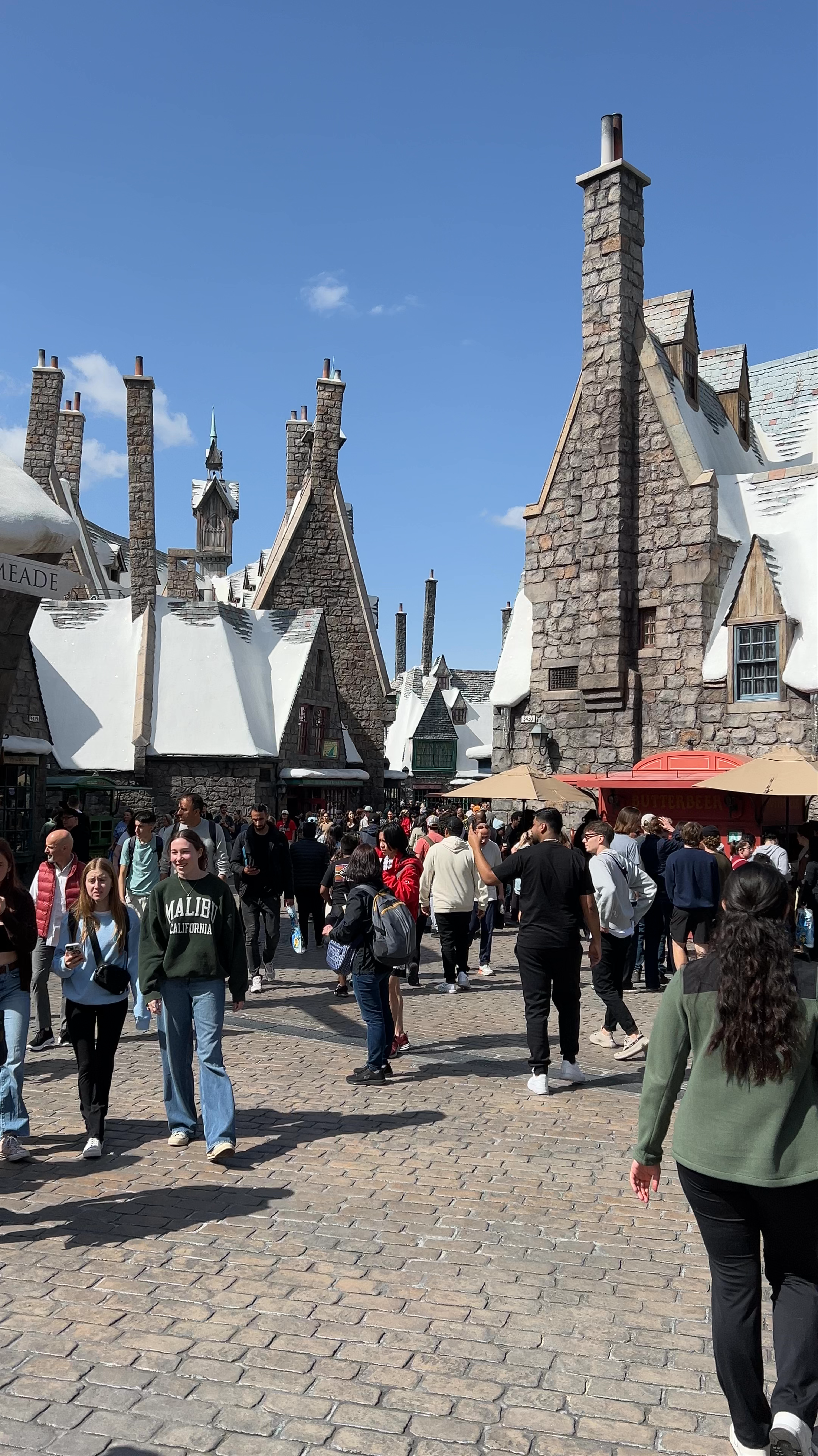 The Wizarding World of Harry Potter
