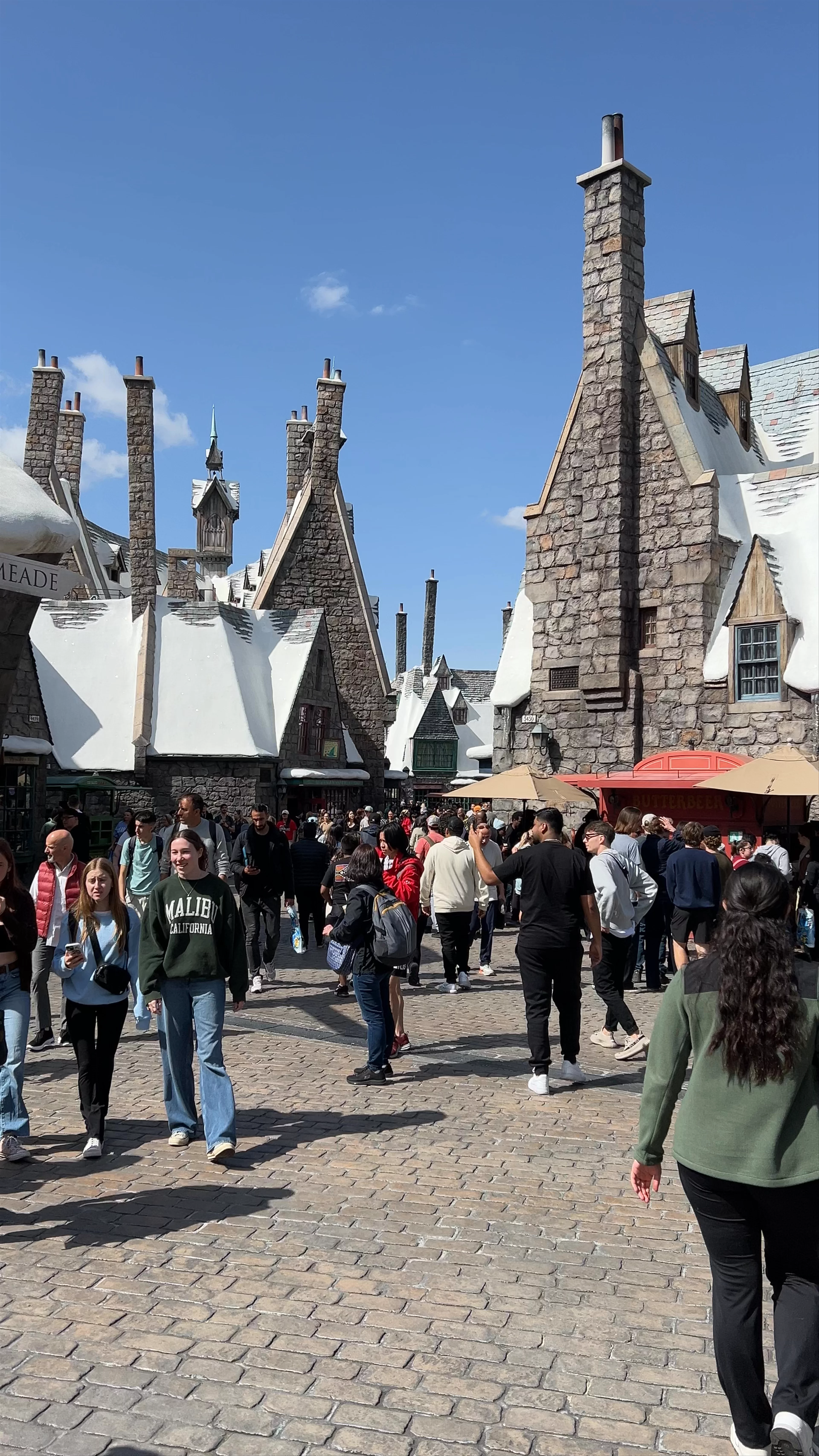 The Wizarding World of Harry Potter