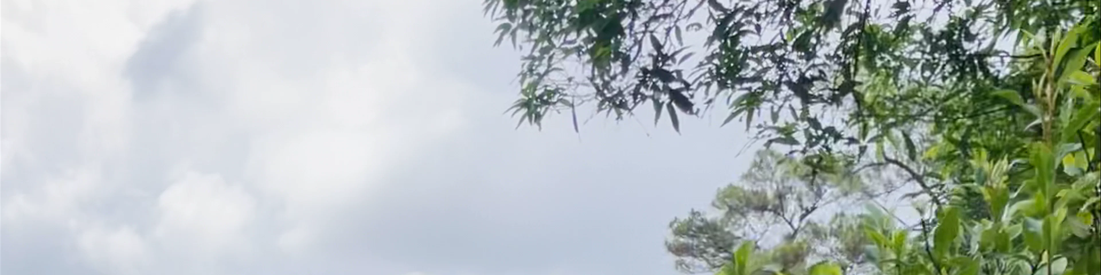 Lương Khiêm Điện
