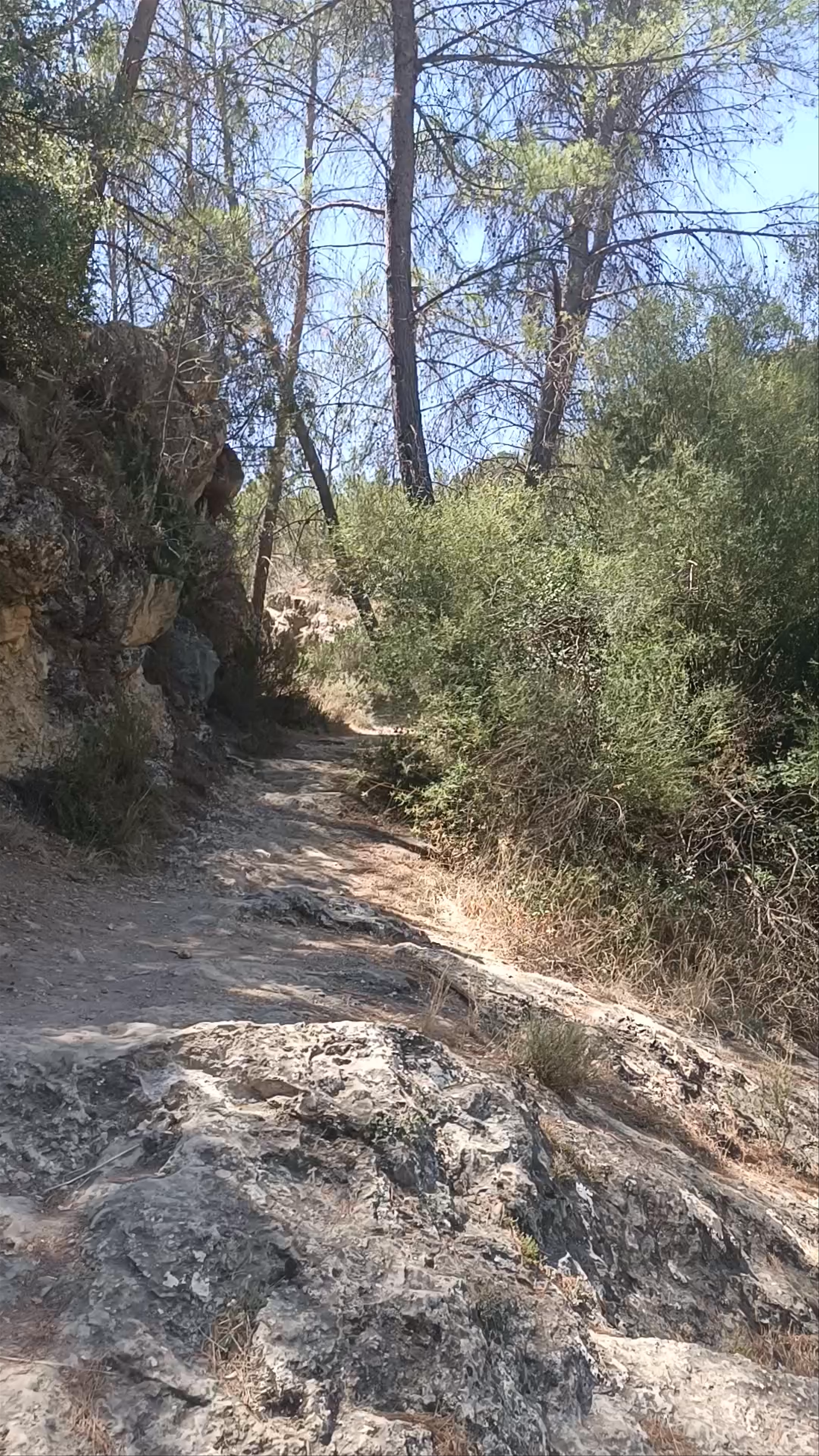 Cascada Letur: Hidden Waterfall Oasis in Castilla-La Mancha
