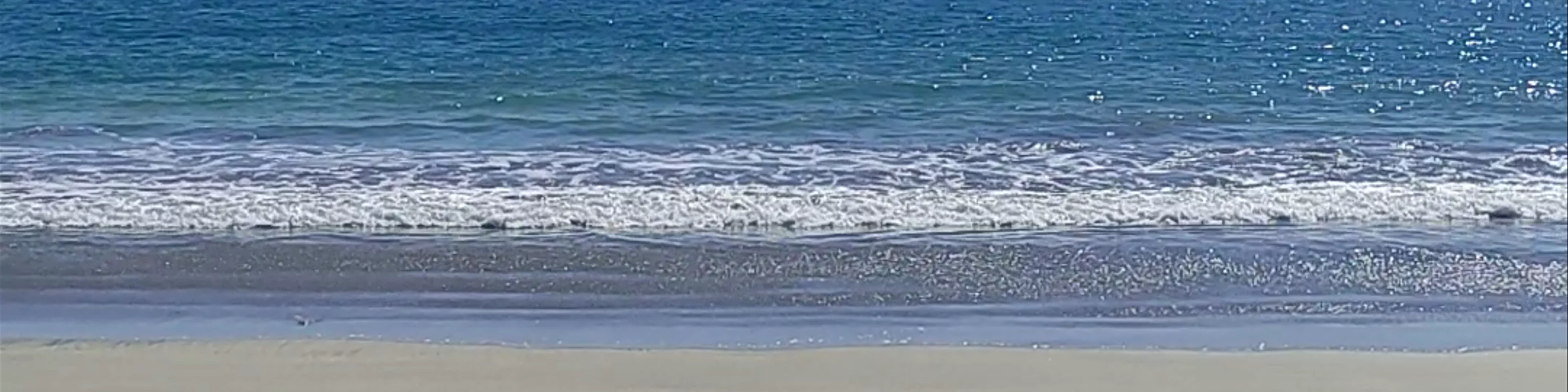 Praia Brava - Praia Brava