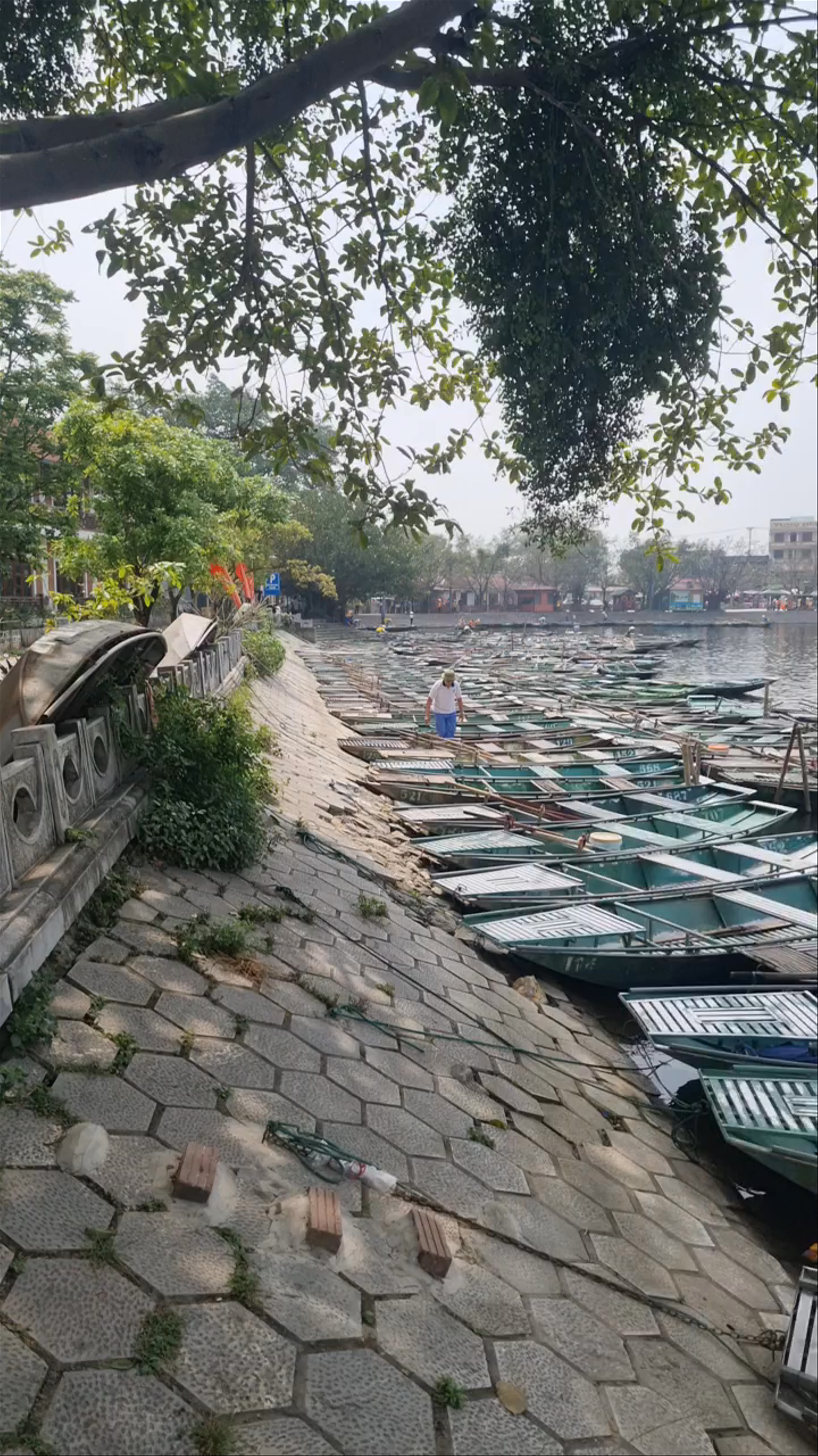 Tam Coc Van Lam Pier