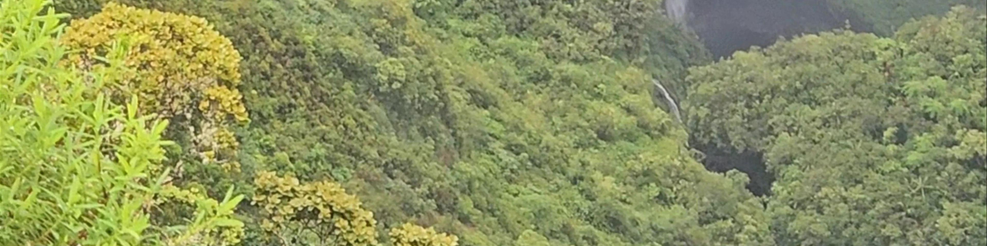 Chemin de fer Cascade w