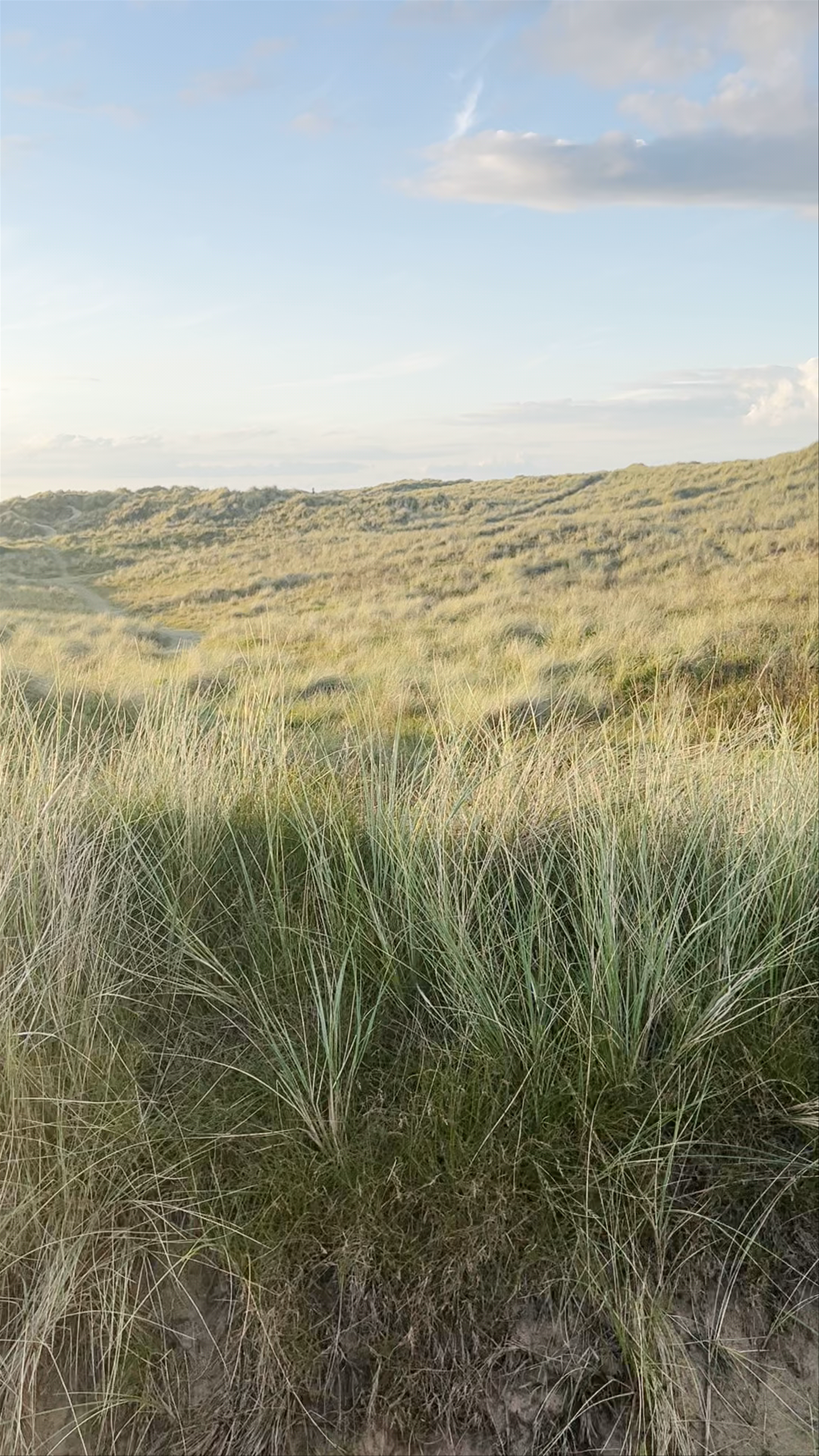 Waxham Sands Holiday Park