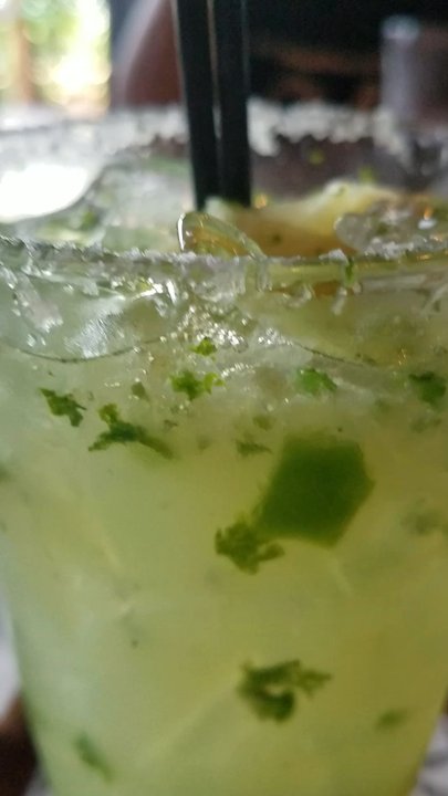 The Yard Cafe - Admiring this beauty... - Tacos Near Me - Seattle, Washington
