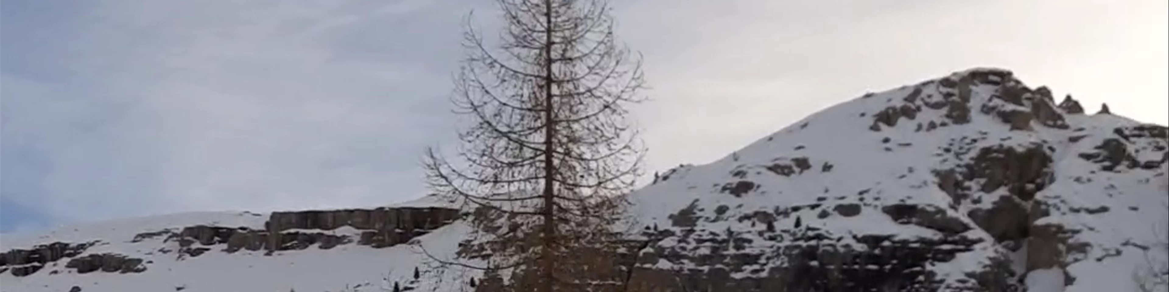Tre Cime Service