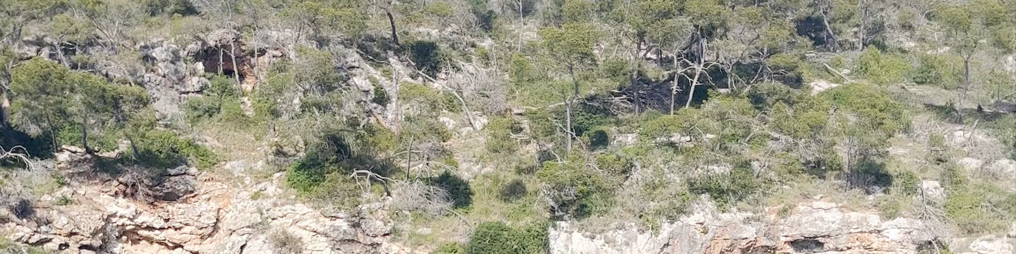 Cala Figuera