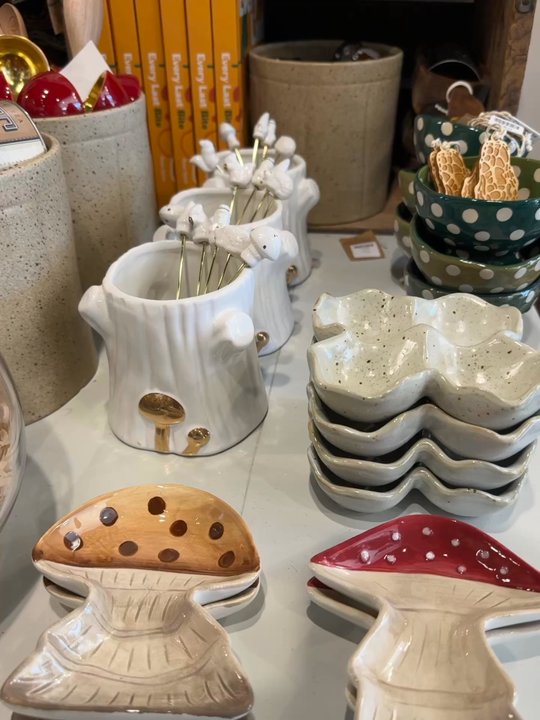 Found Studio Shop - Mushroom curation - Accessories Near Me - Baltimore, Maryland