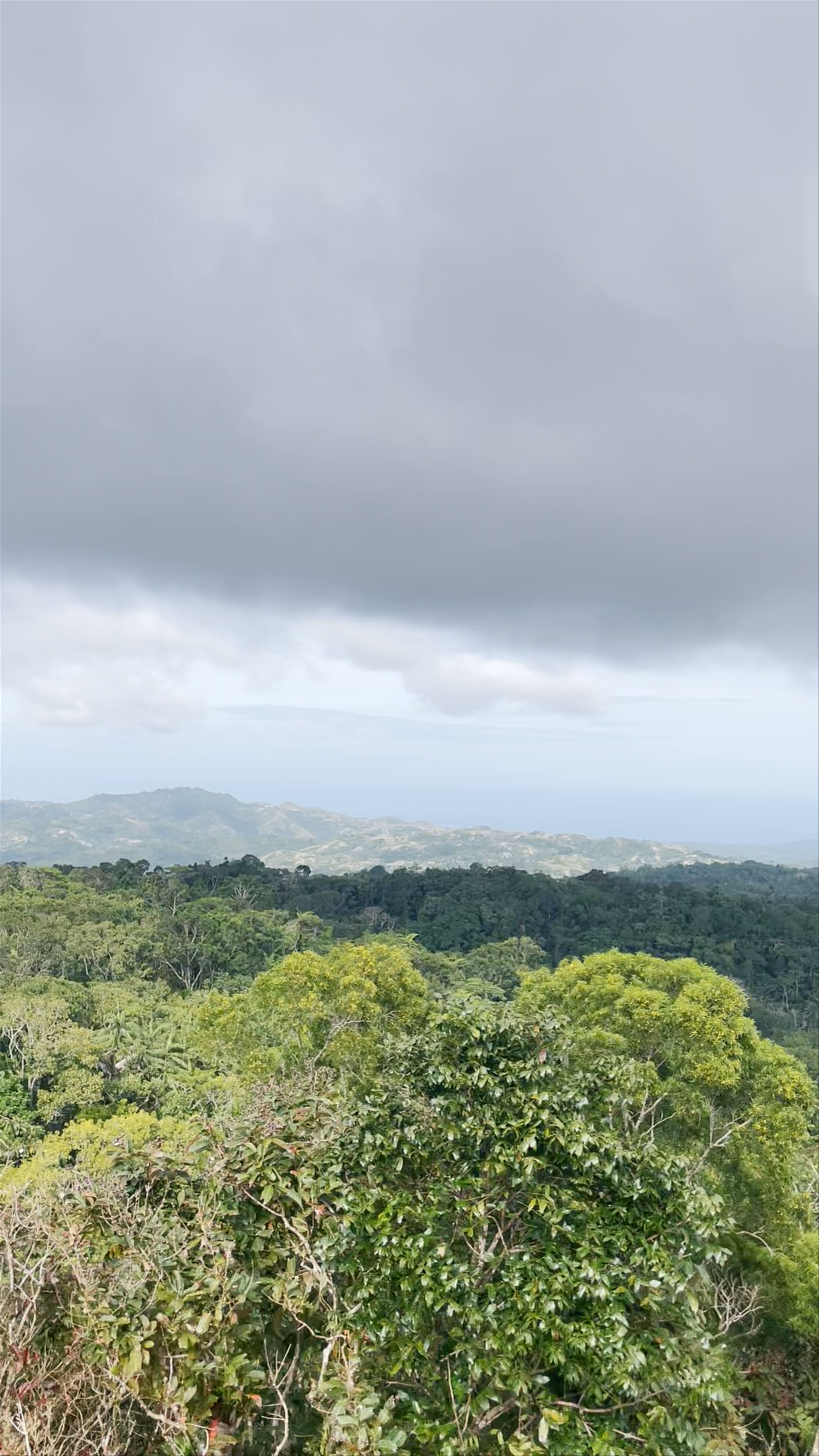 Mount Bandilaan: Panoramic Forest Views in Siquijor, Philippines