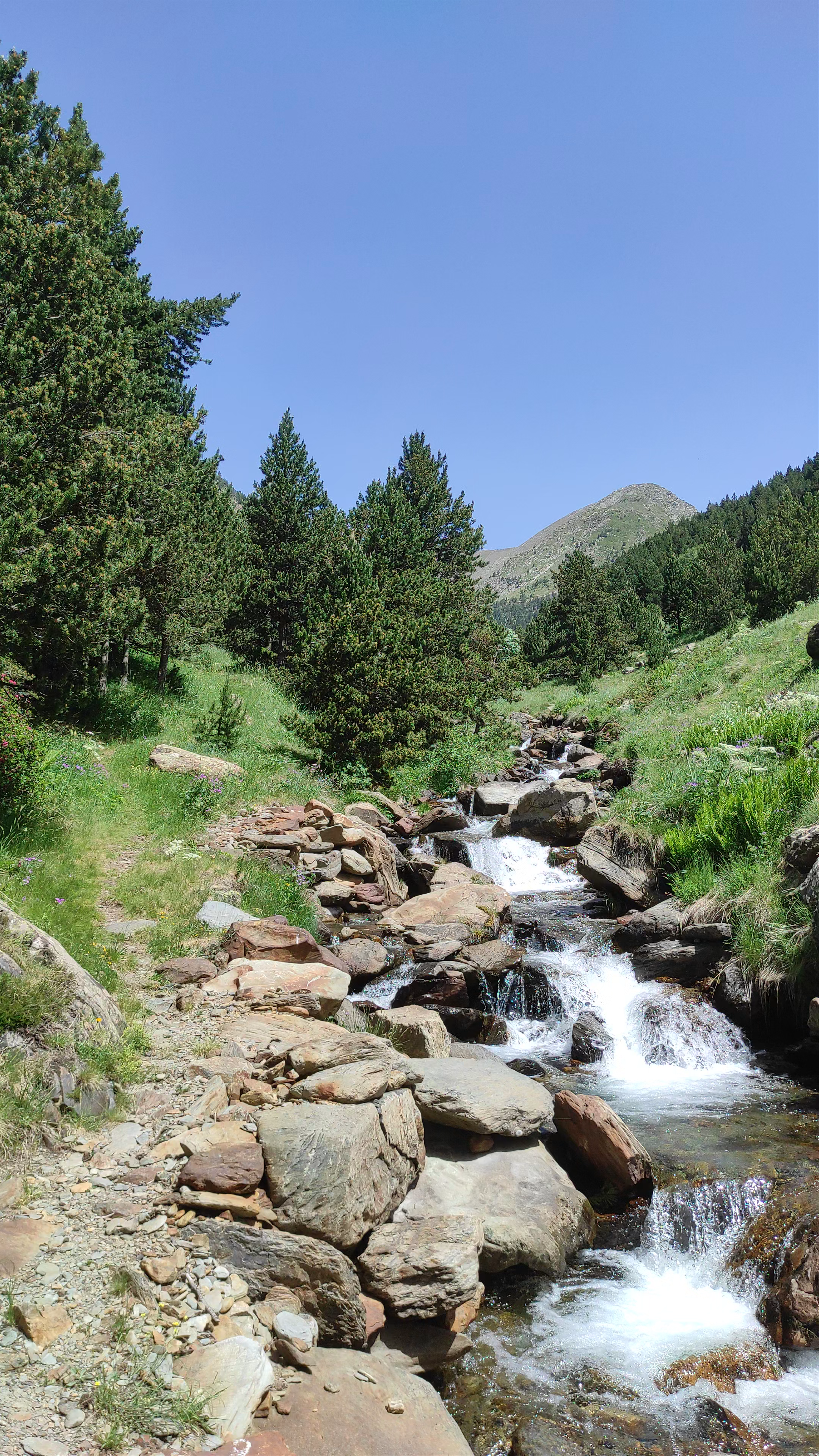 Vall de Montaup