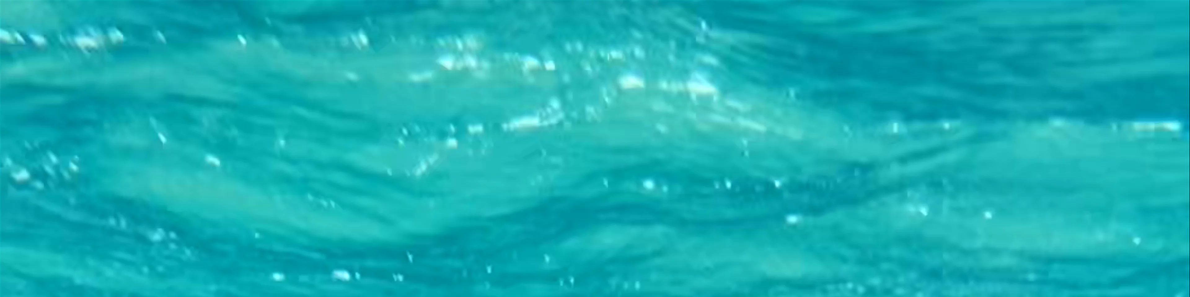 Snorkelling in Cala Comte