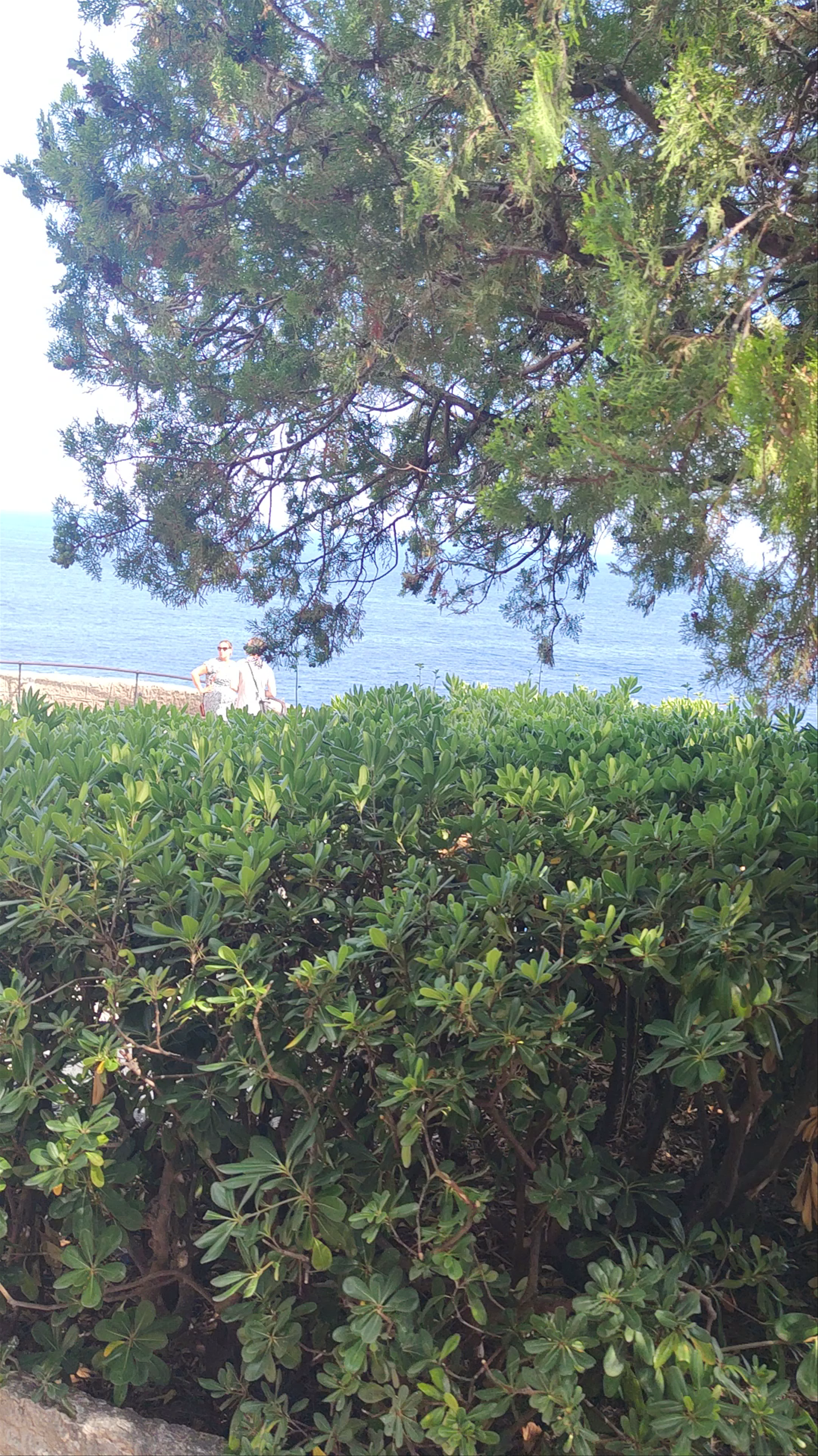 Prince's Palace of Monaco