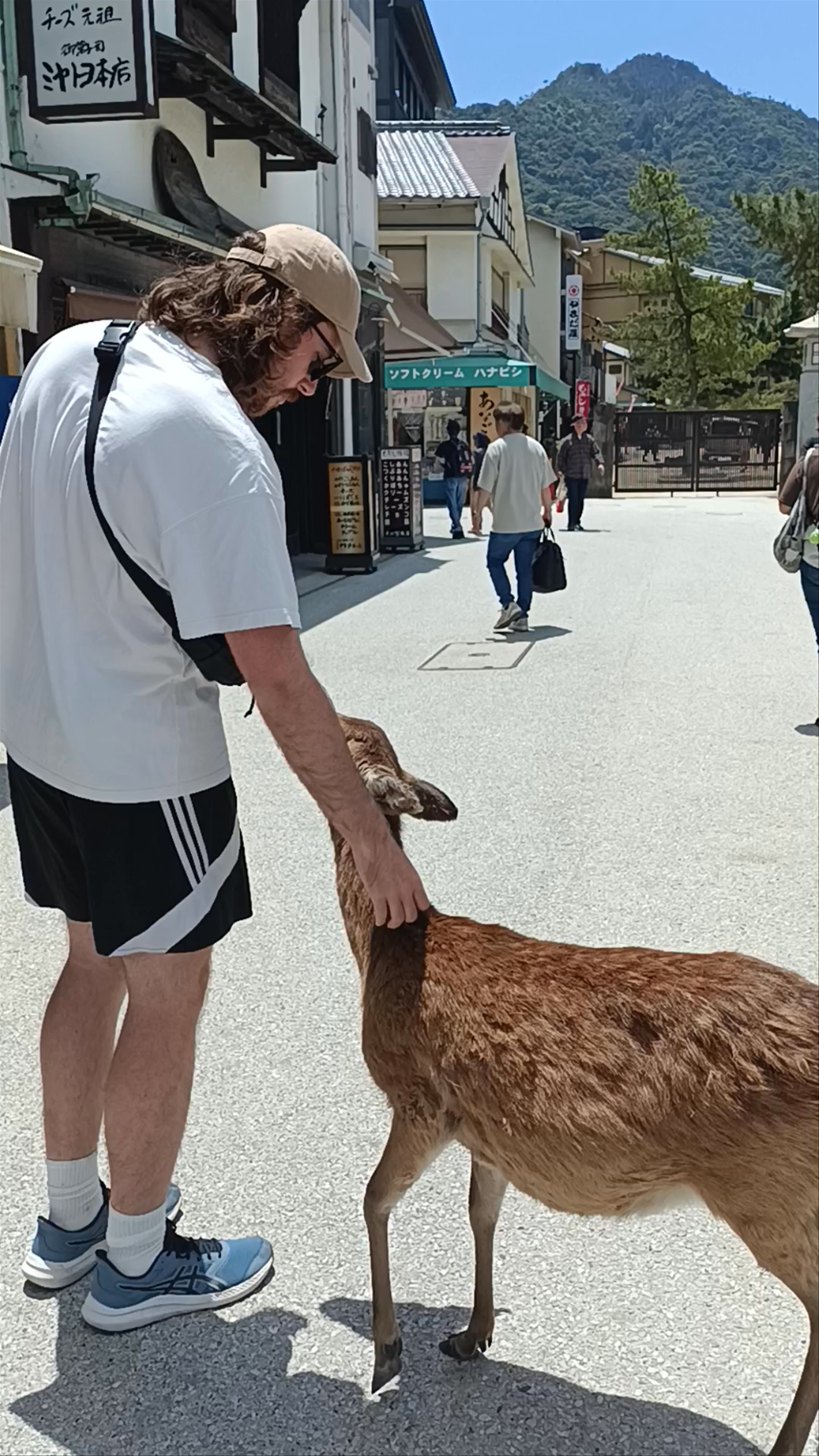 Miyajima