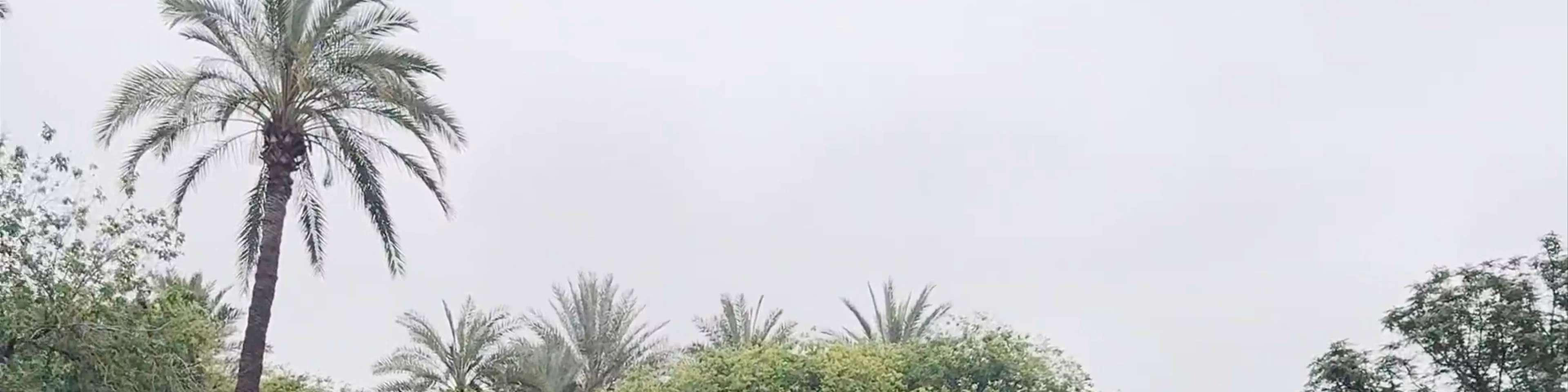 عرصة مولاي عبد السلام، Marrakesh
