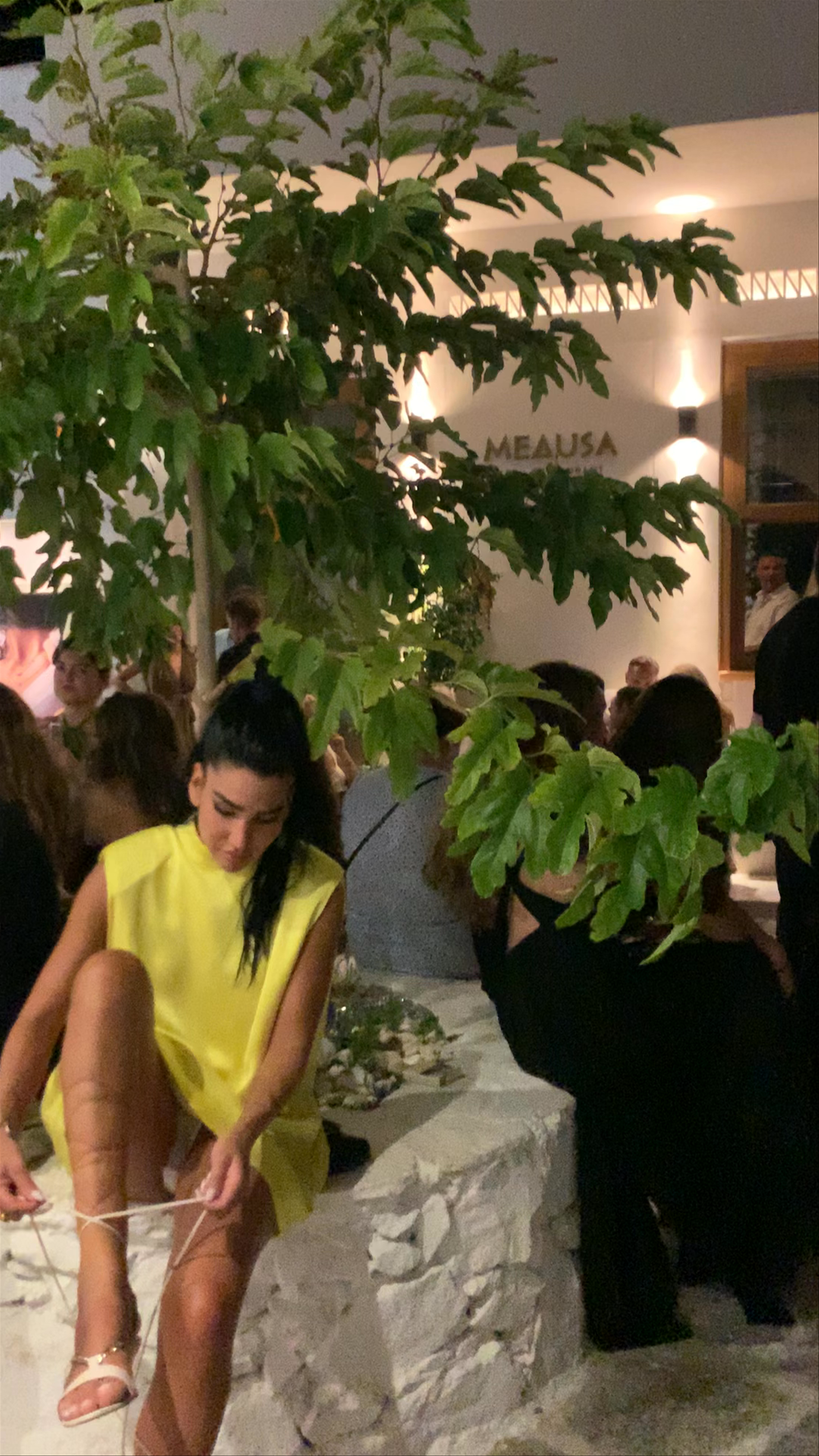 Medusa Bar Restaurant: Nightlife Vibes in Naousa, Paros