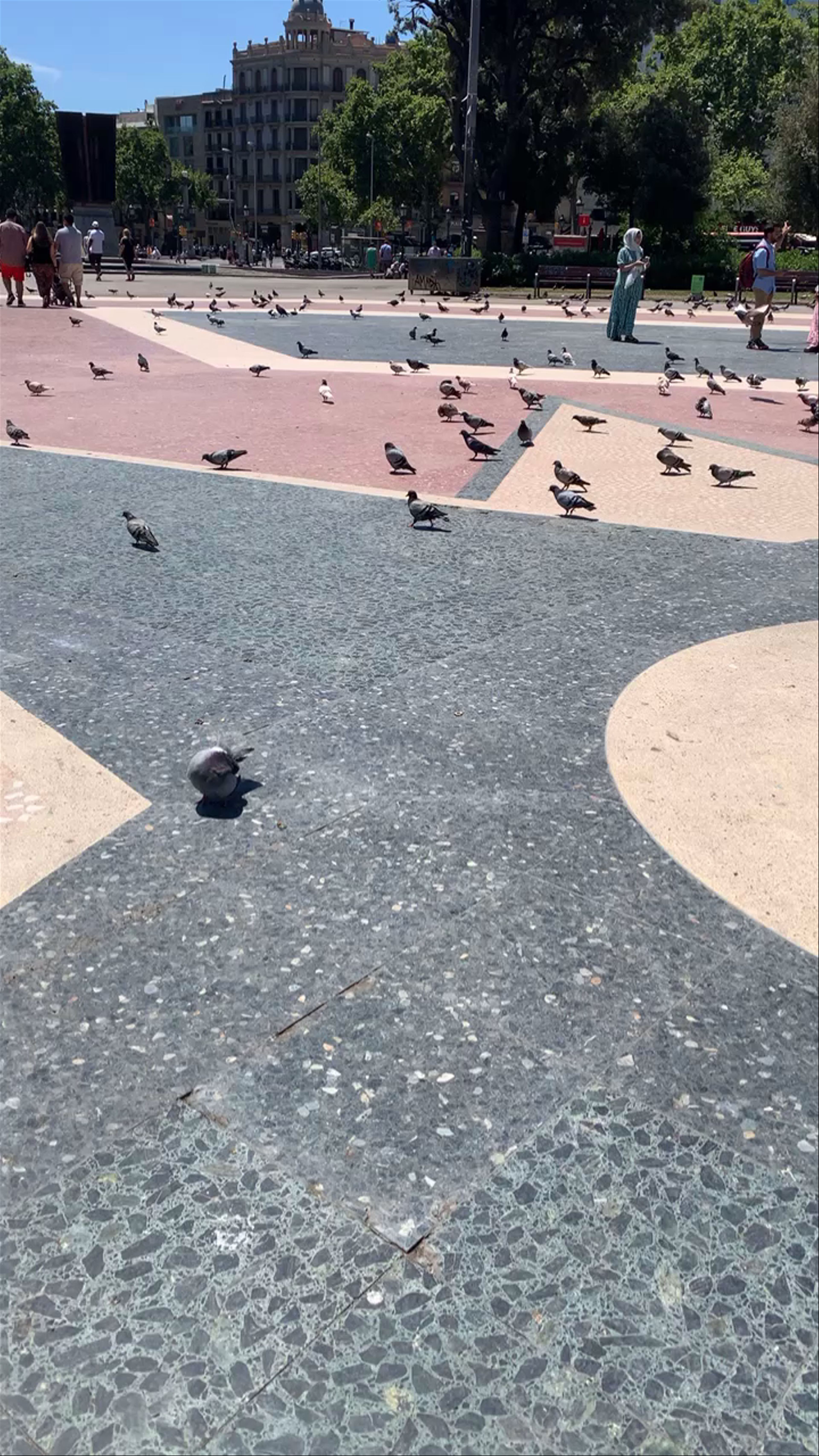 Plaça de Catalunya