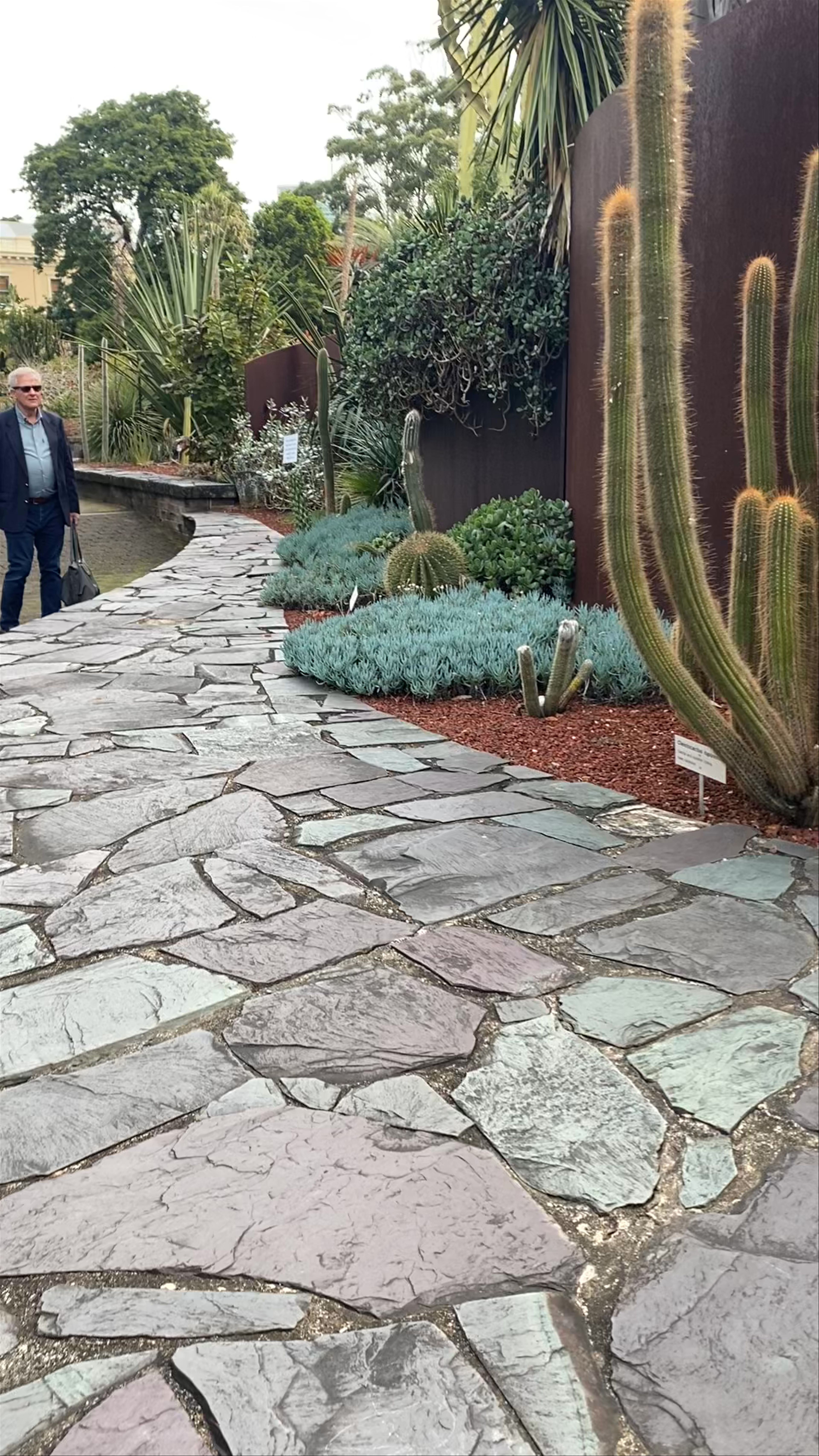 Succulent Garden