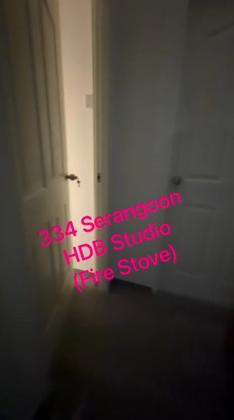 undefined of 350 sqft HDB for Rent in 334 Serangoon Avenue 3 - Project Photos 9