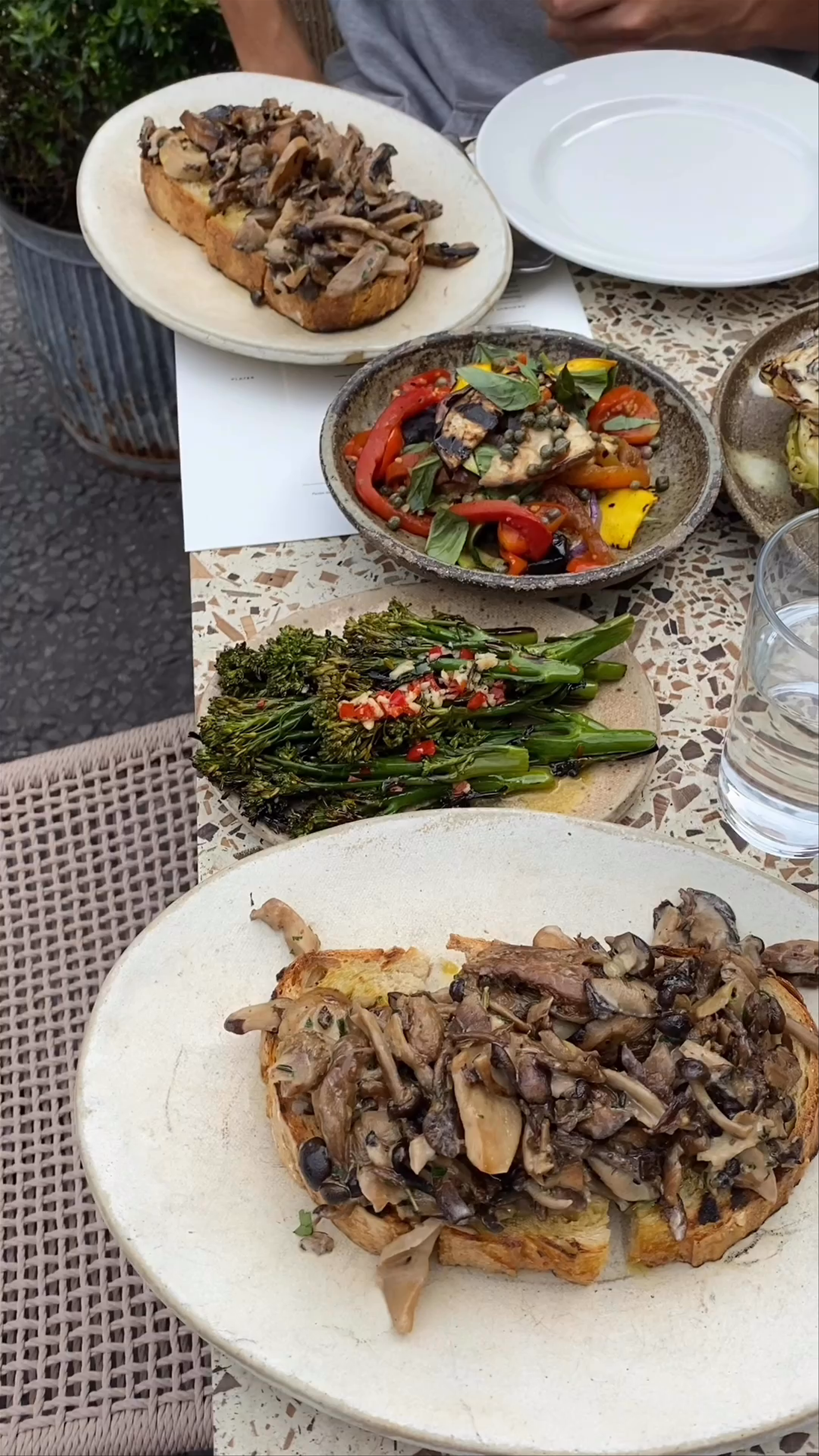 Vibrant Plant-Based Dining Experience on Portobello Road, London