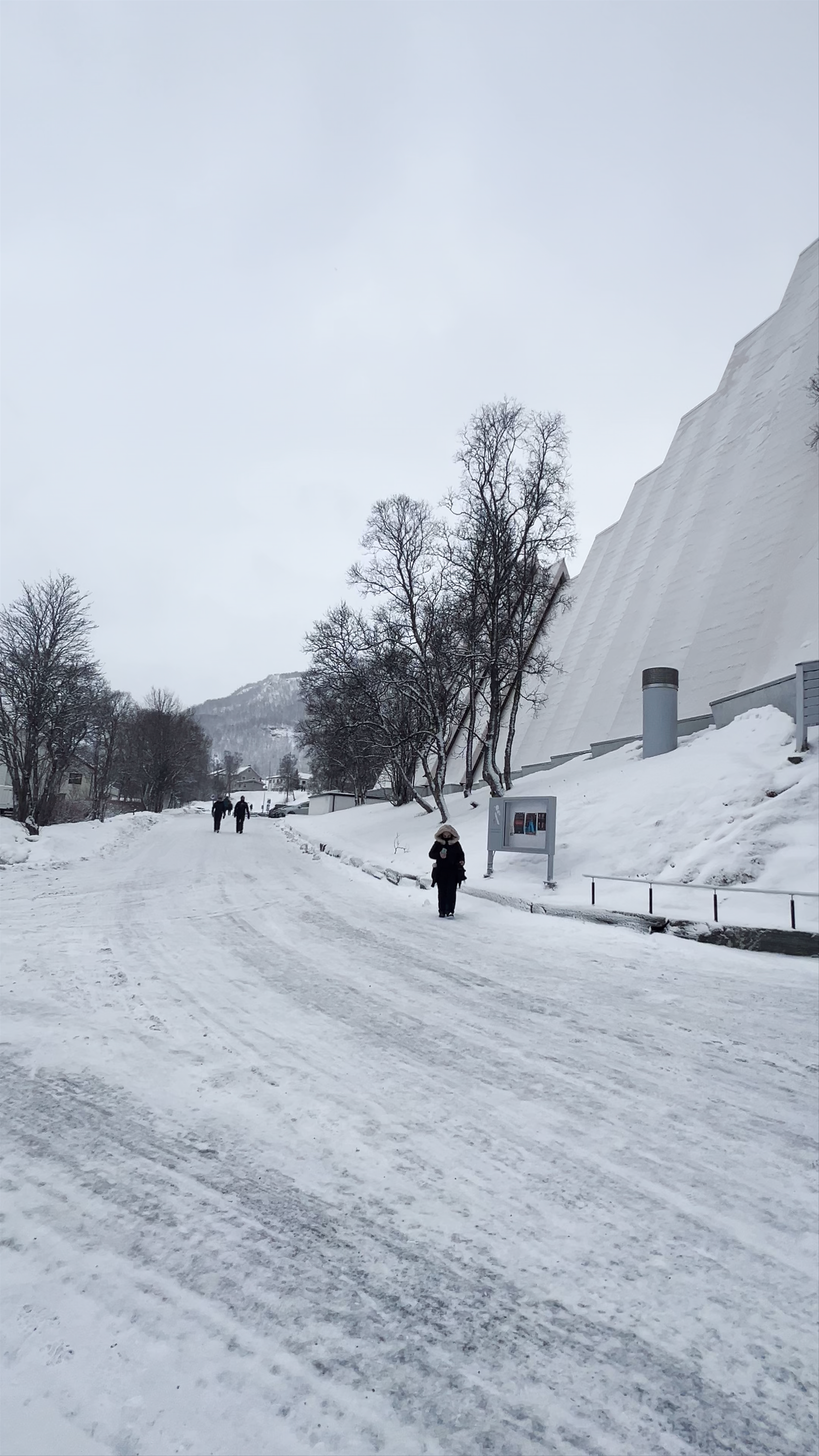 Arctic Cathedral