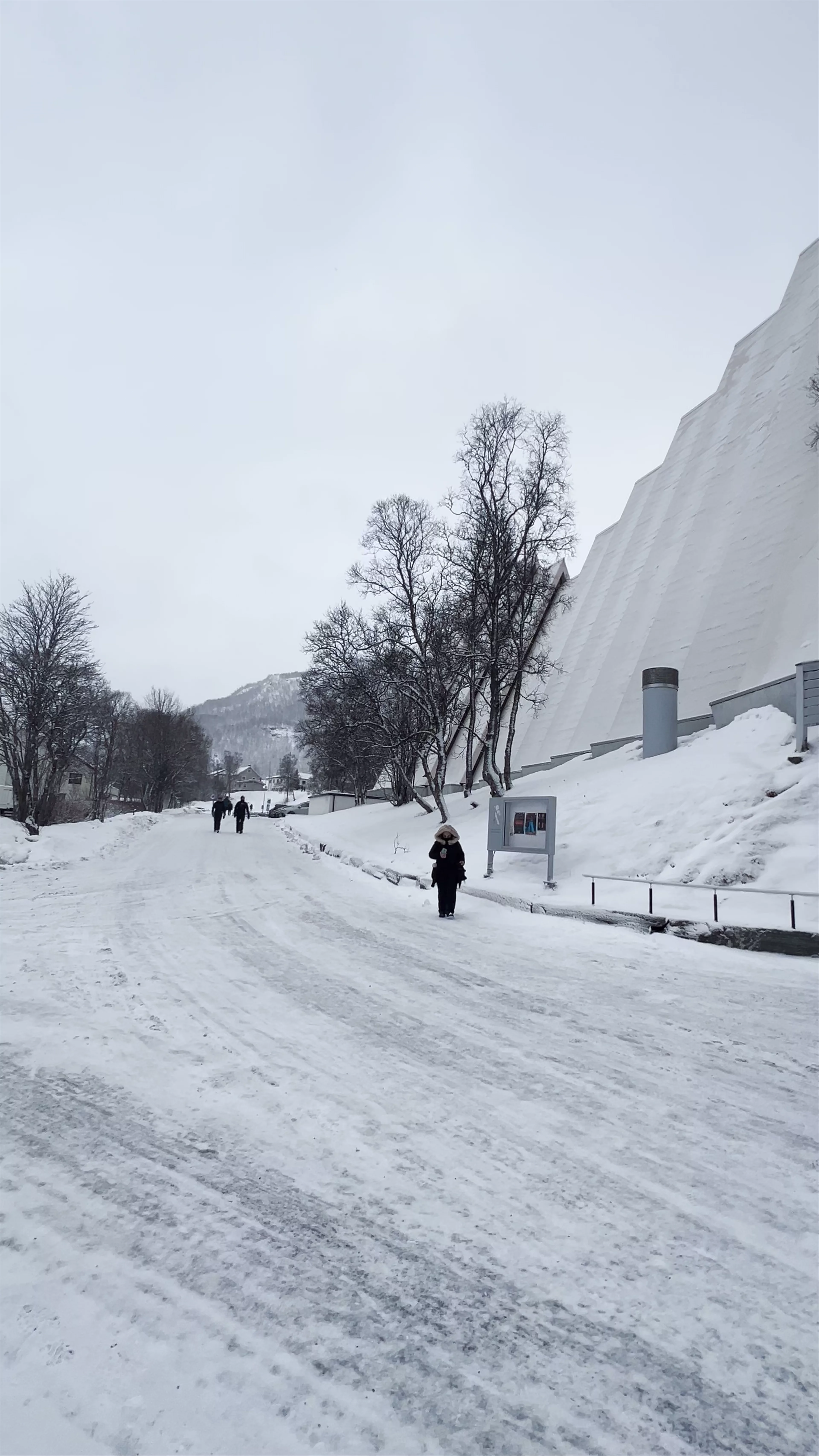 Arctic Cathedral