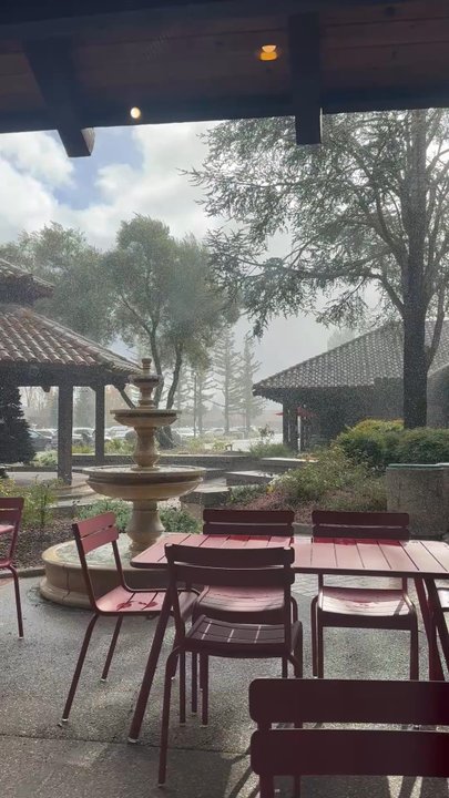 Equator Coffees - From inside looking to the courtyard in the rain. - Coffee & Tea Near Me - Sonoma, California