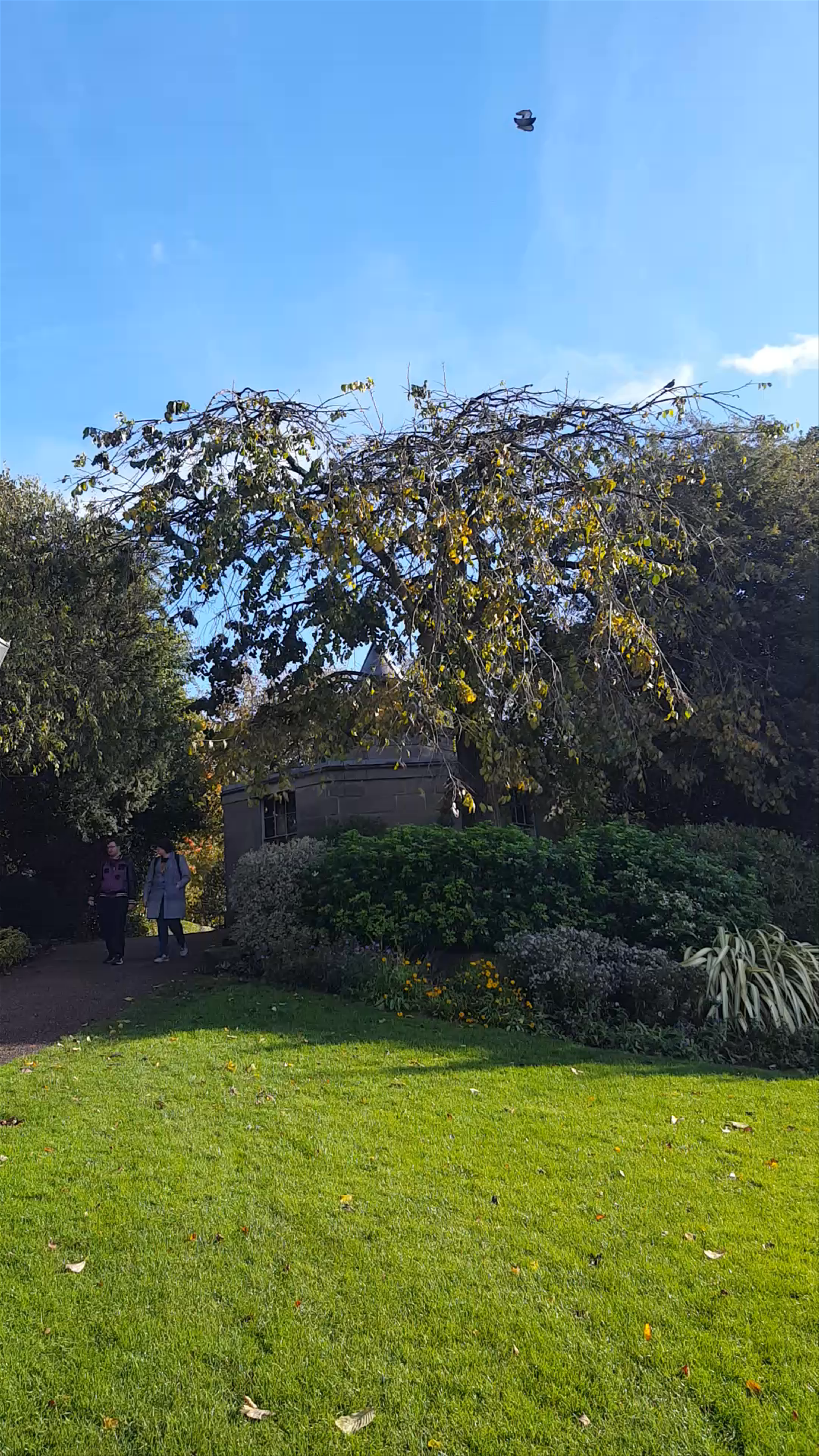 Strolling Through Museum Gardens in York: A Calm Autumn Day