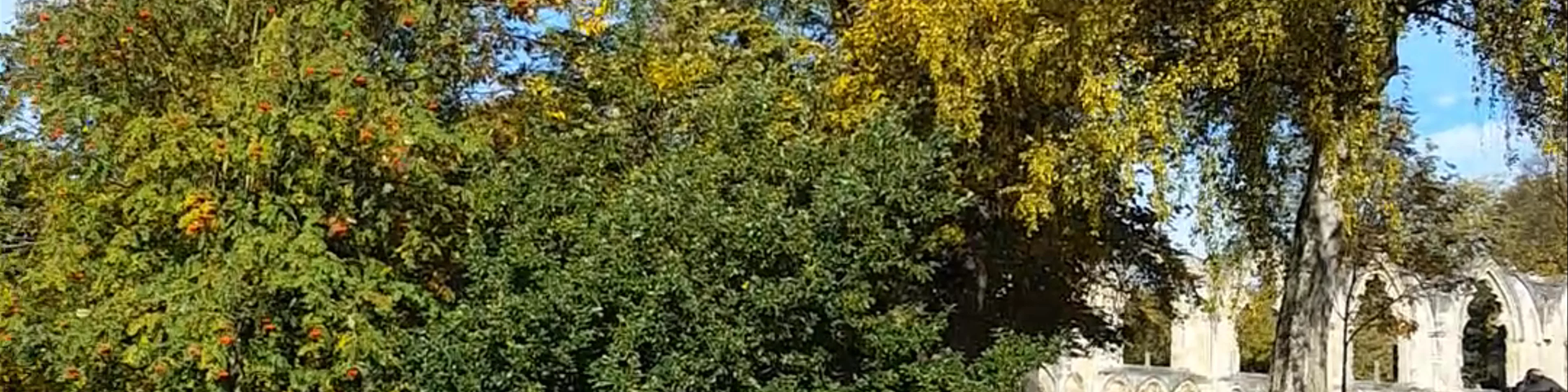 Museum Gardens