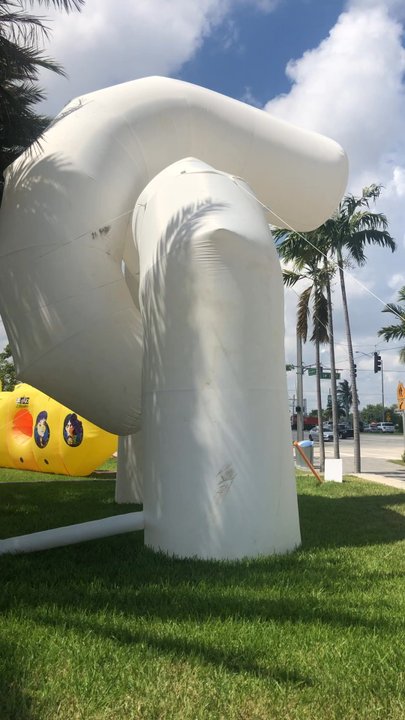 Searching for Giants - Art Installation Near Me - Pompano Beach, Florida