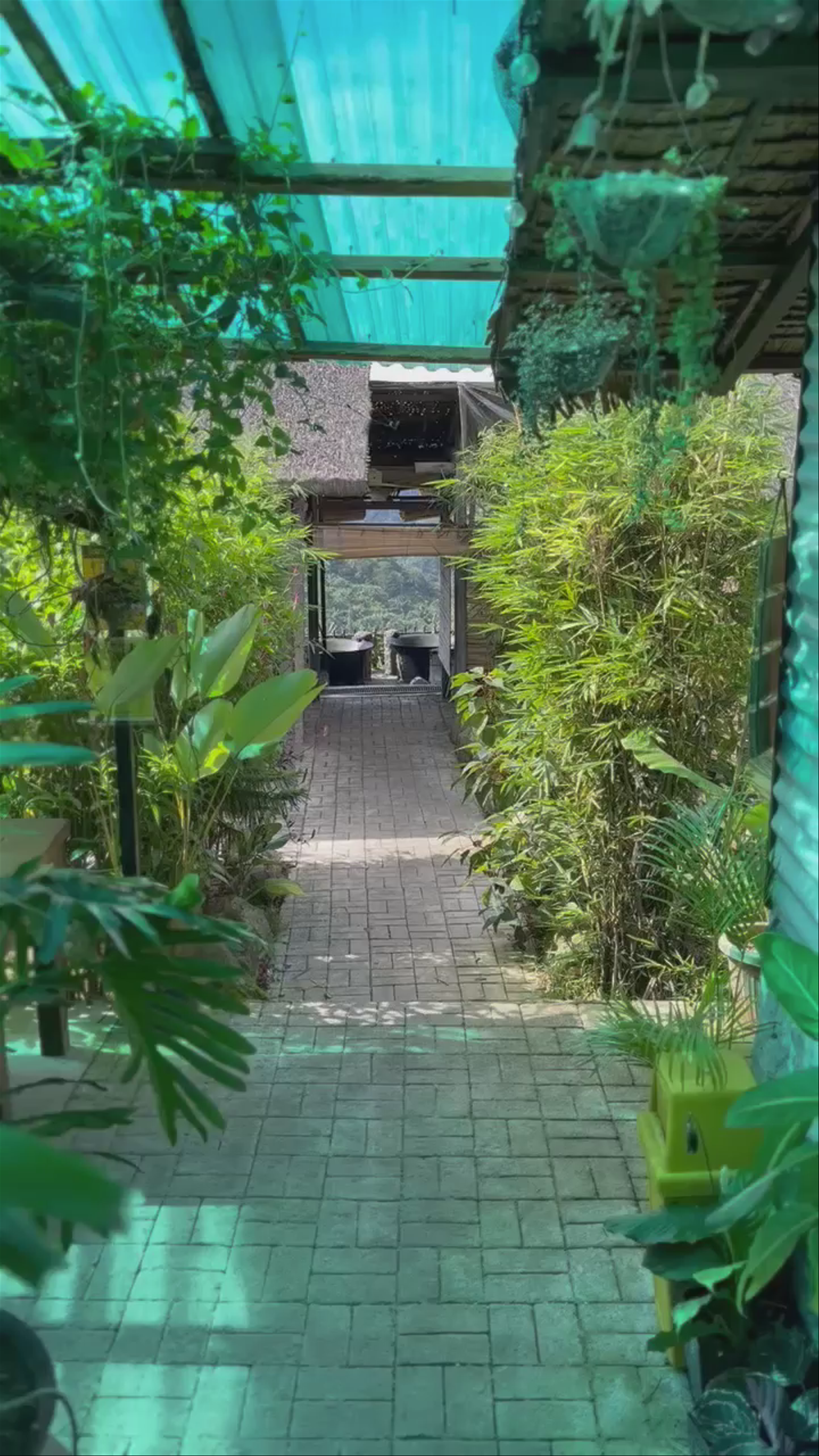 La VeryOl's Kawa Spa