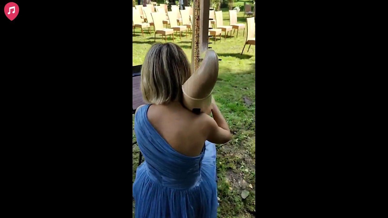 The Lombardy Harpist - Wedding Live Showreel 2025 - video