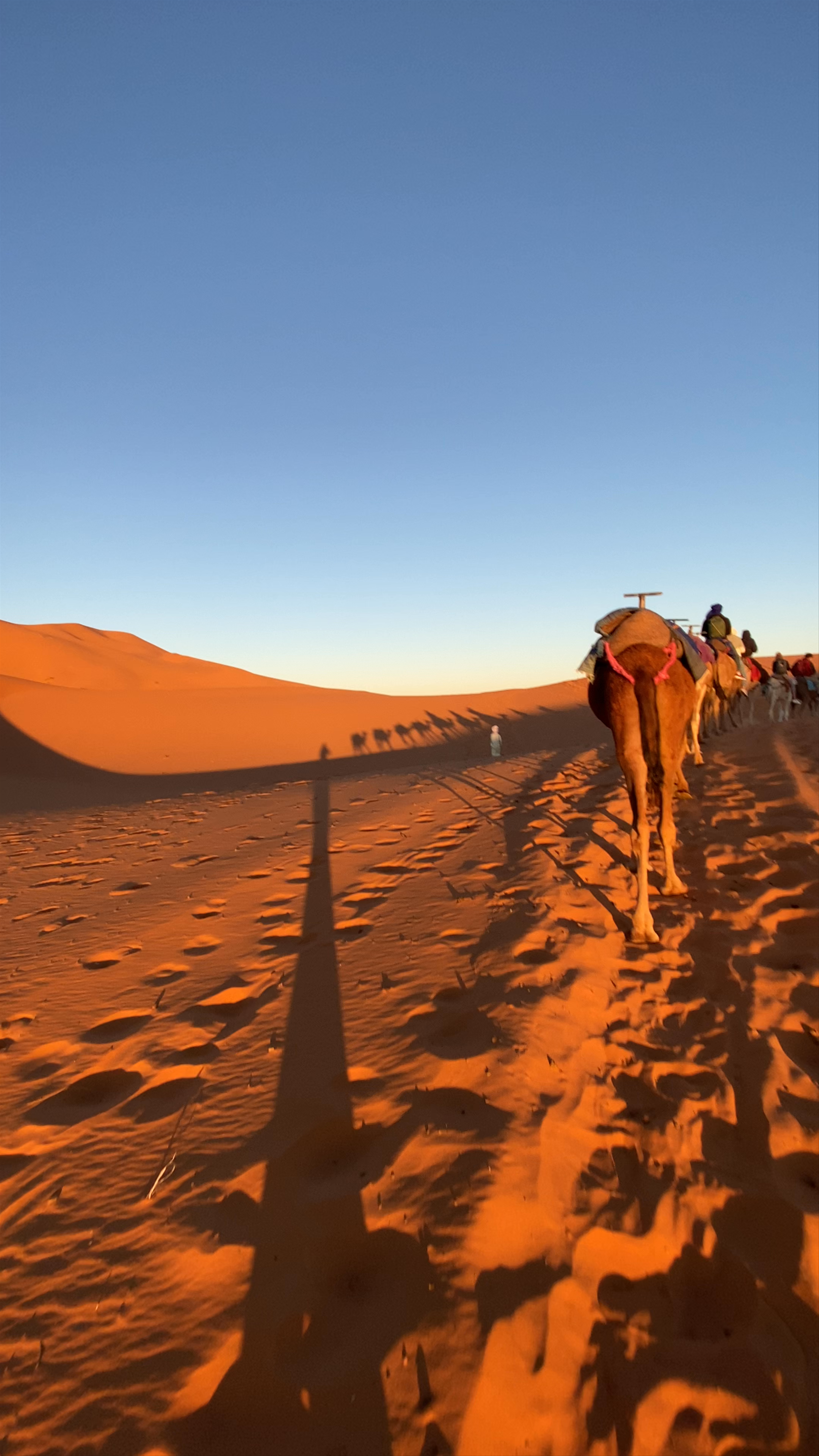 Merzouga desert