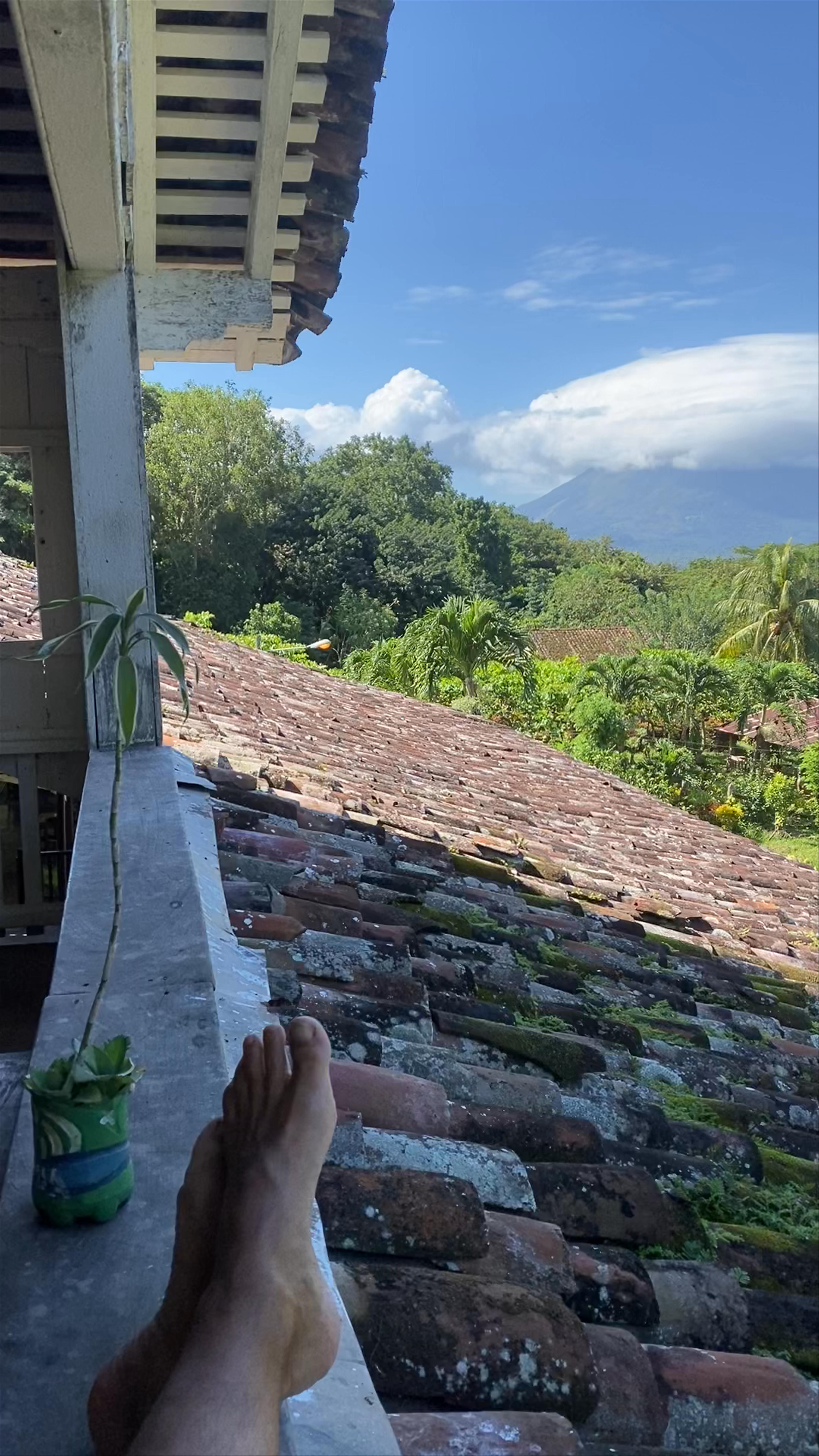 Hostel Finca Magdalena